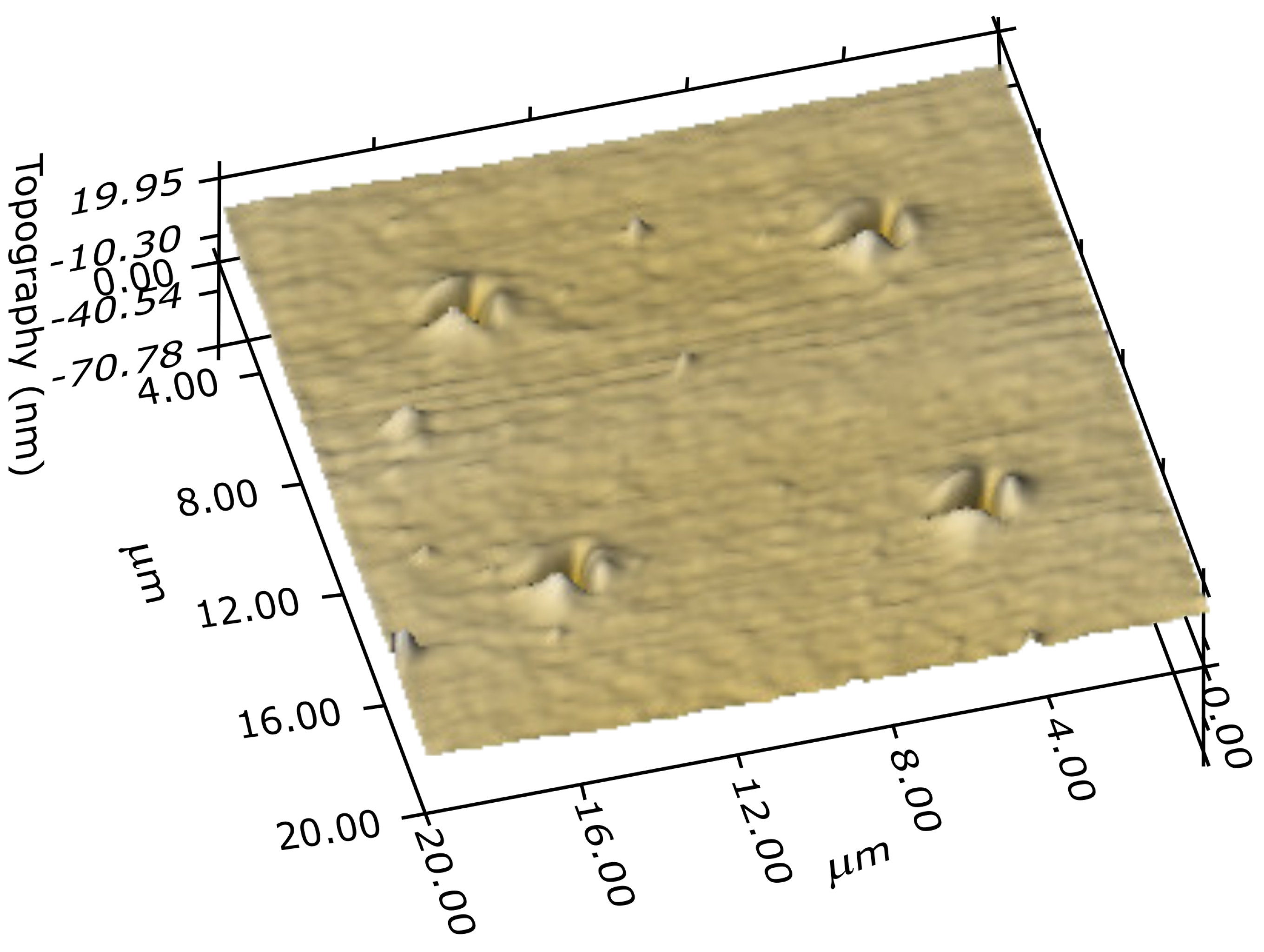 Polymers 12 02679 g004