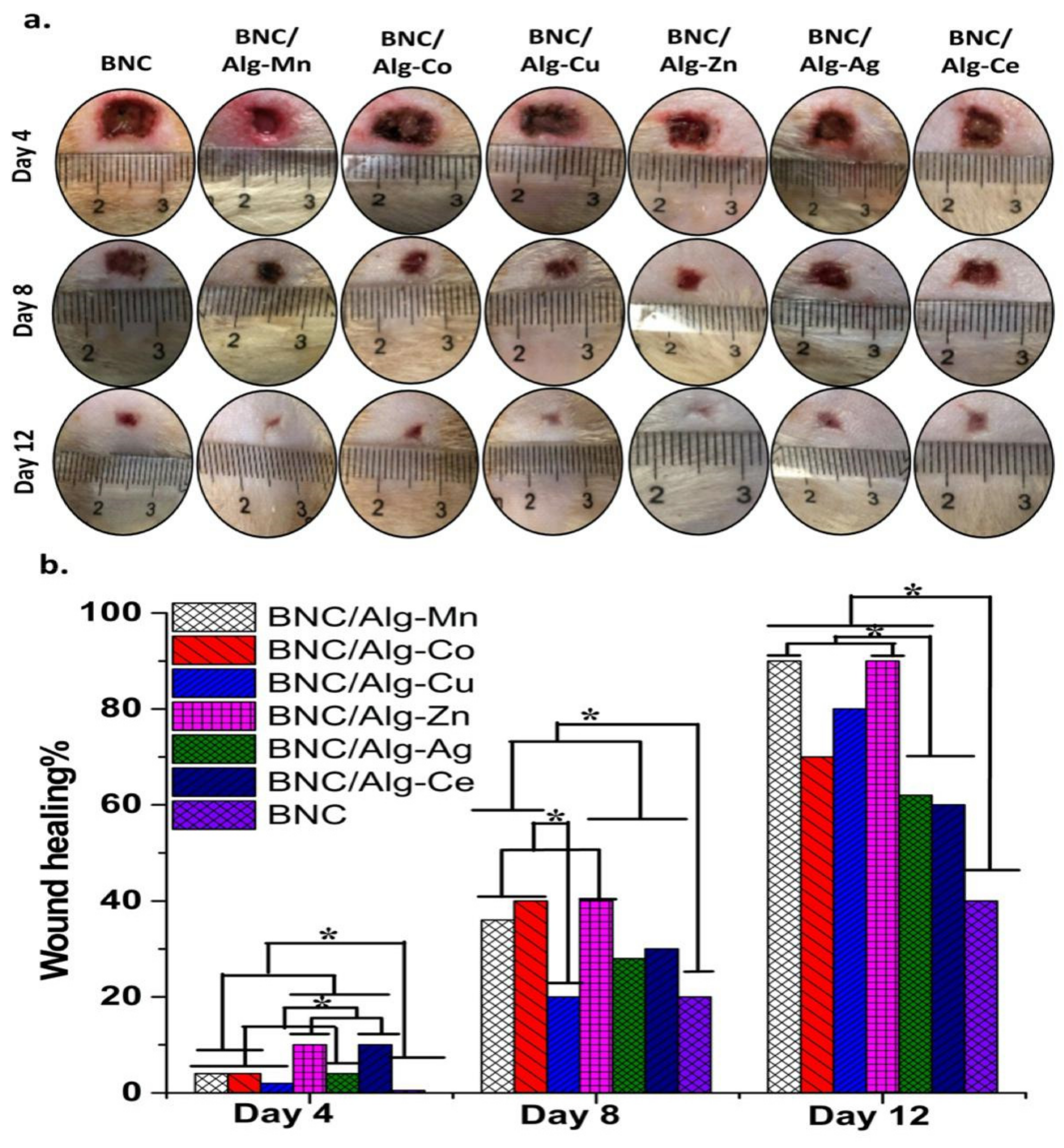 Polymers 12 02683 g007 Polymers 12 02683 g007