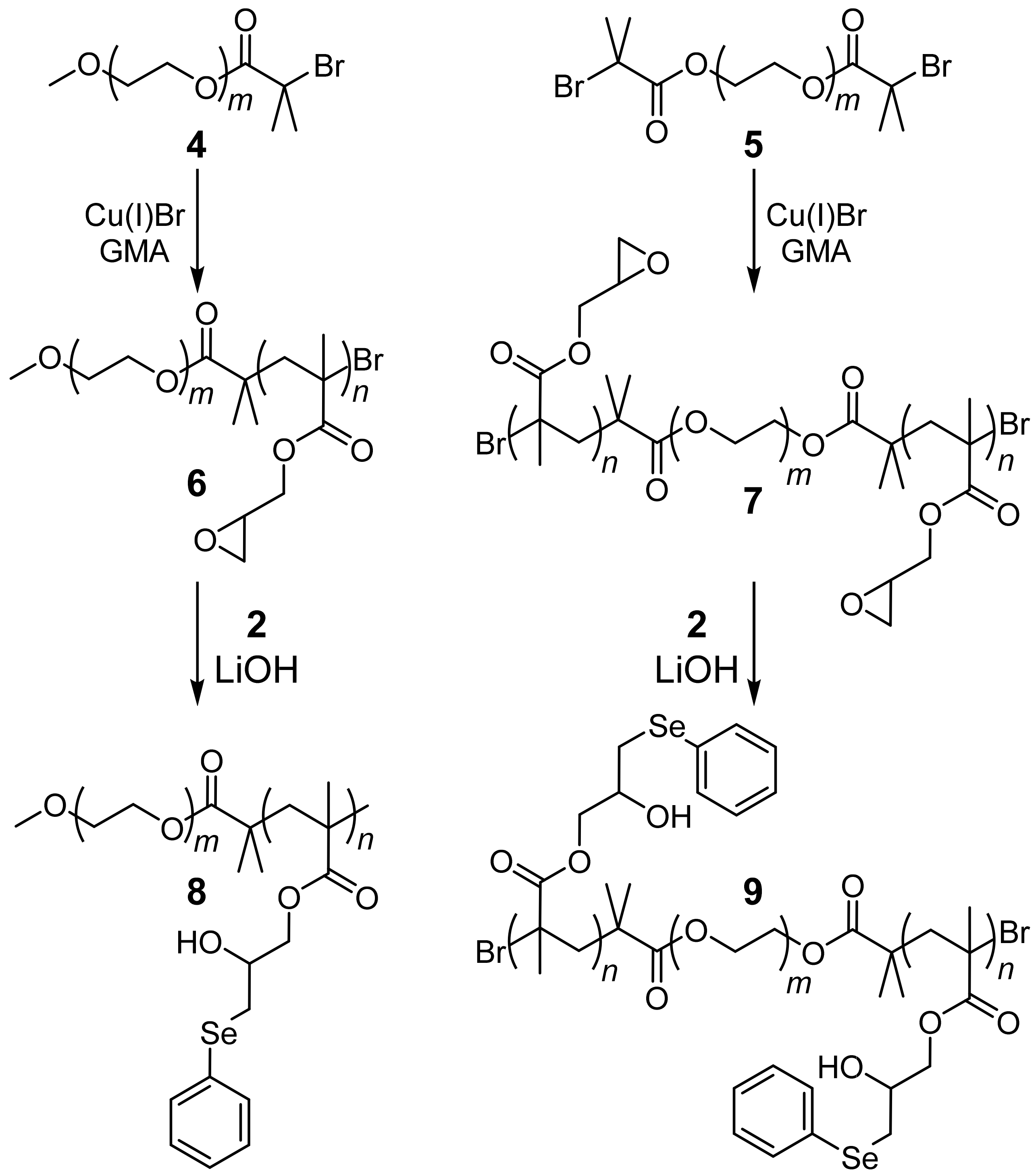 Polymers 12 02685 sch002 Polymers 12 02685 sch002