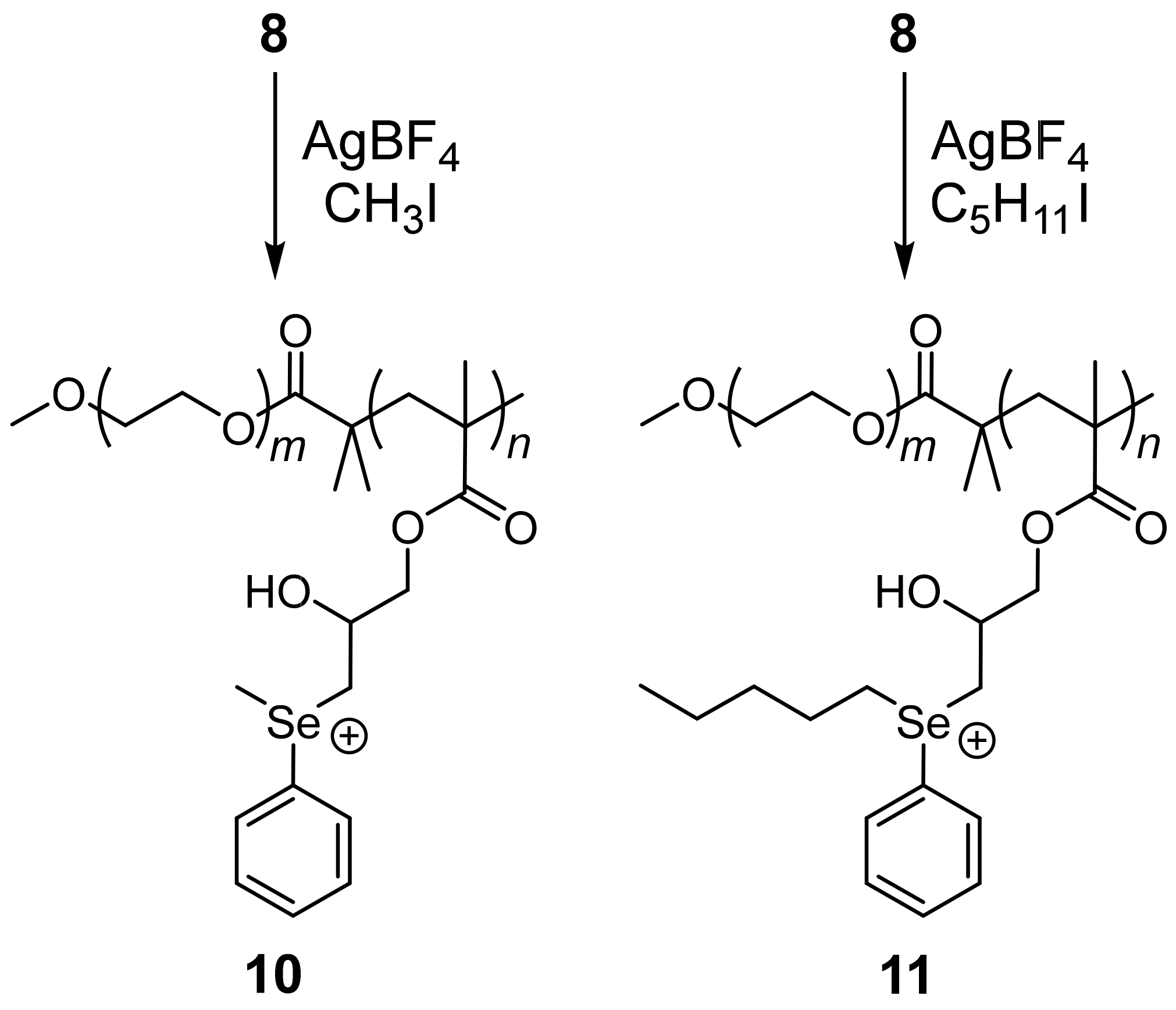 Polymers 12 02685 sch003 Polymers 12 02685 sch003