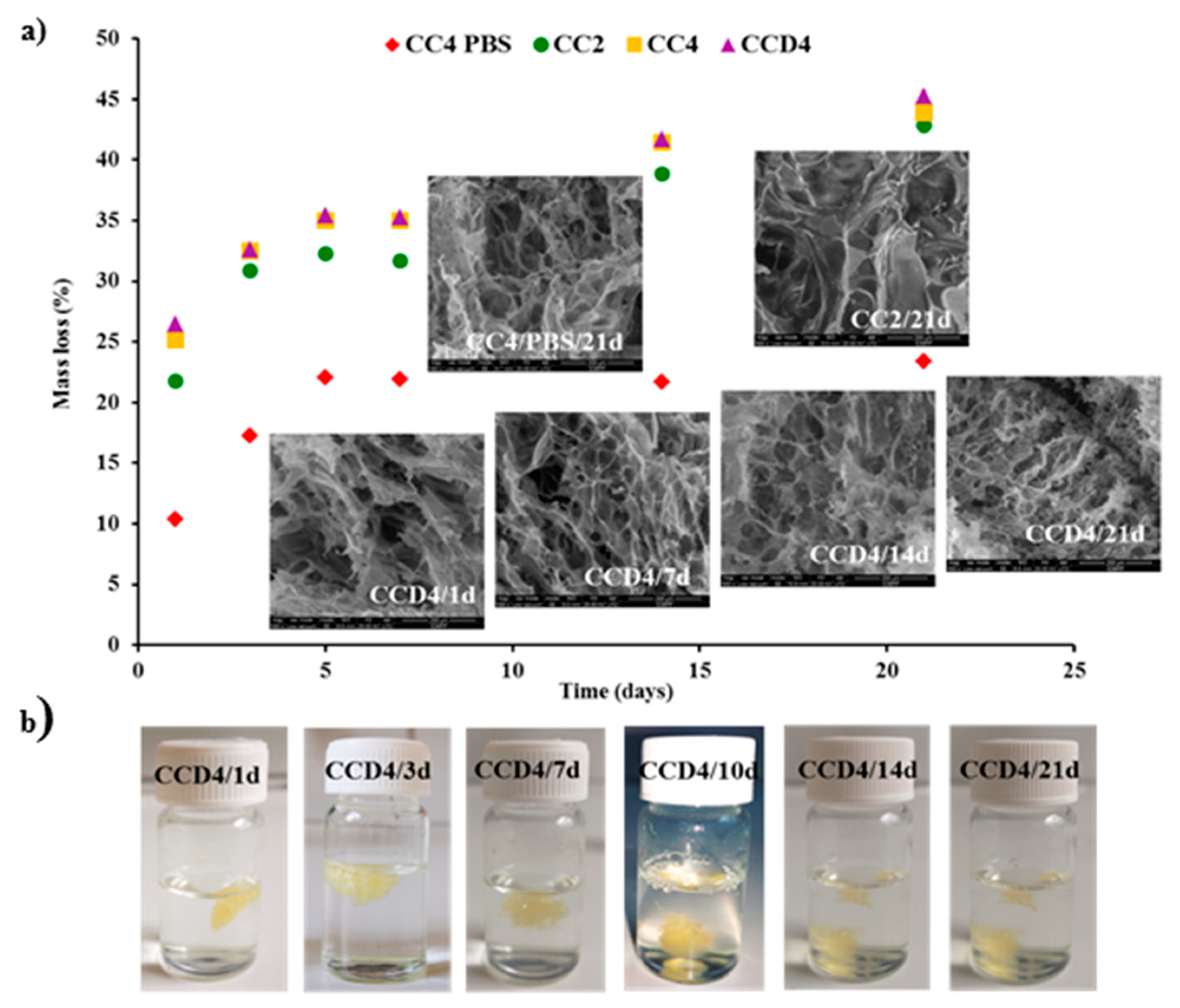 Polymers 12 02687 g005