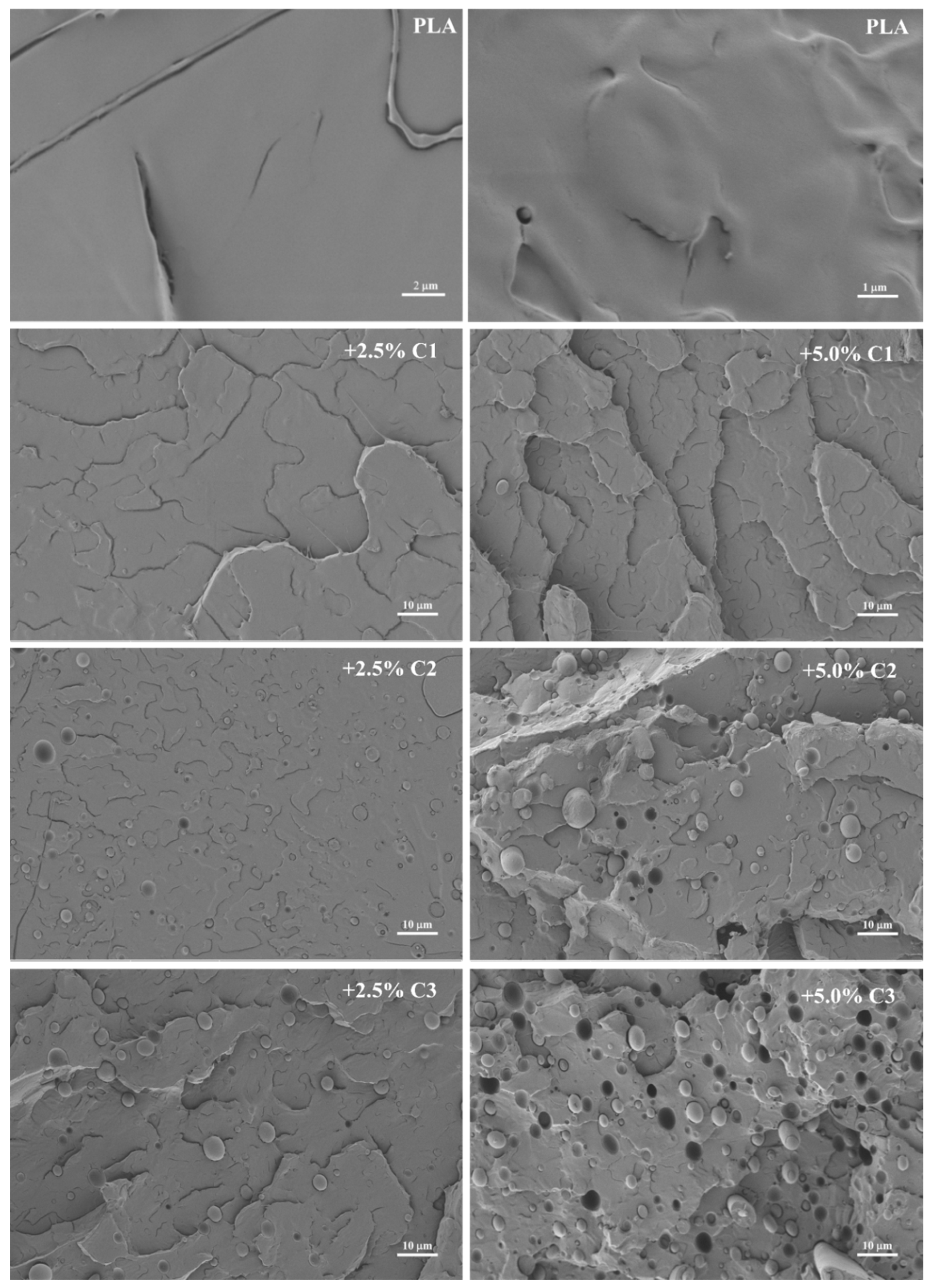 Polymers 12 02688 g002 Polymers 12 02688 g002