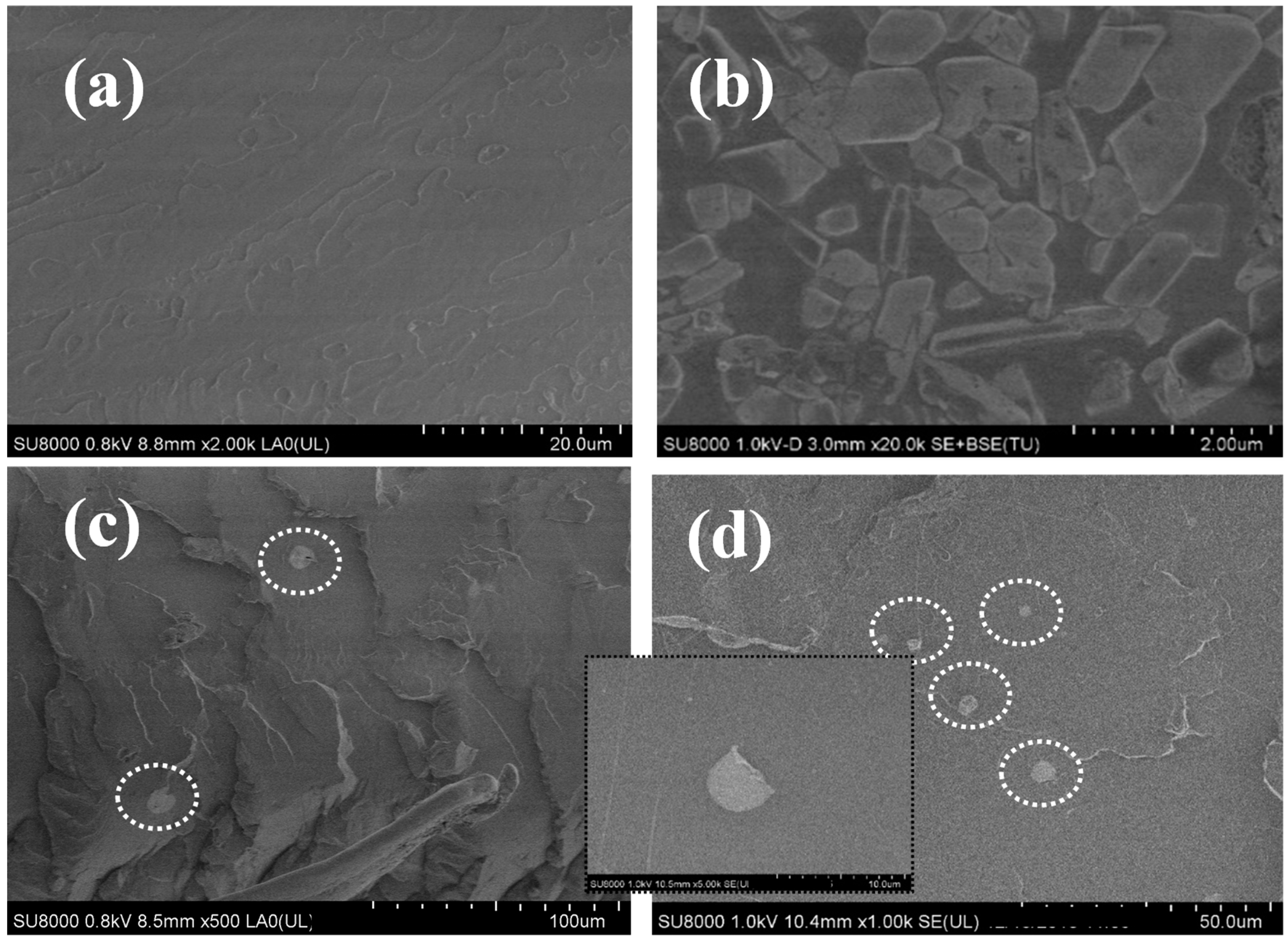 Polymers 12 02699 g001 Polymers 12 02699 g001