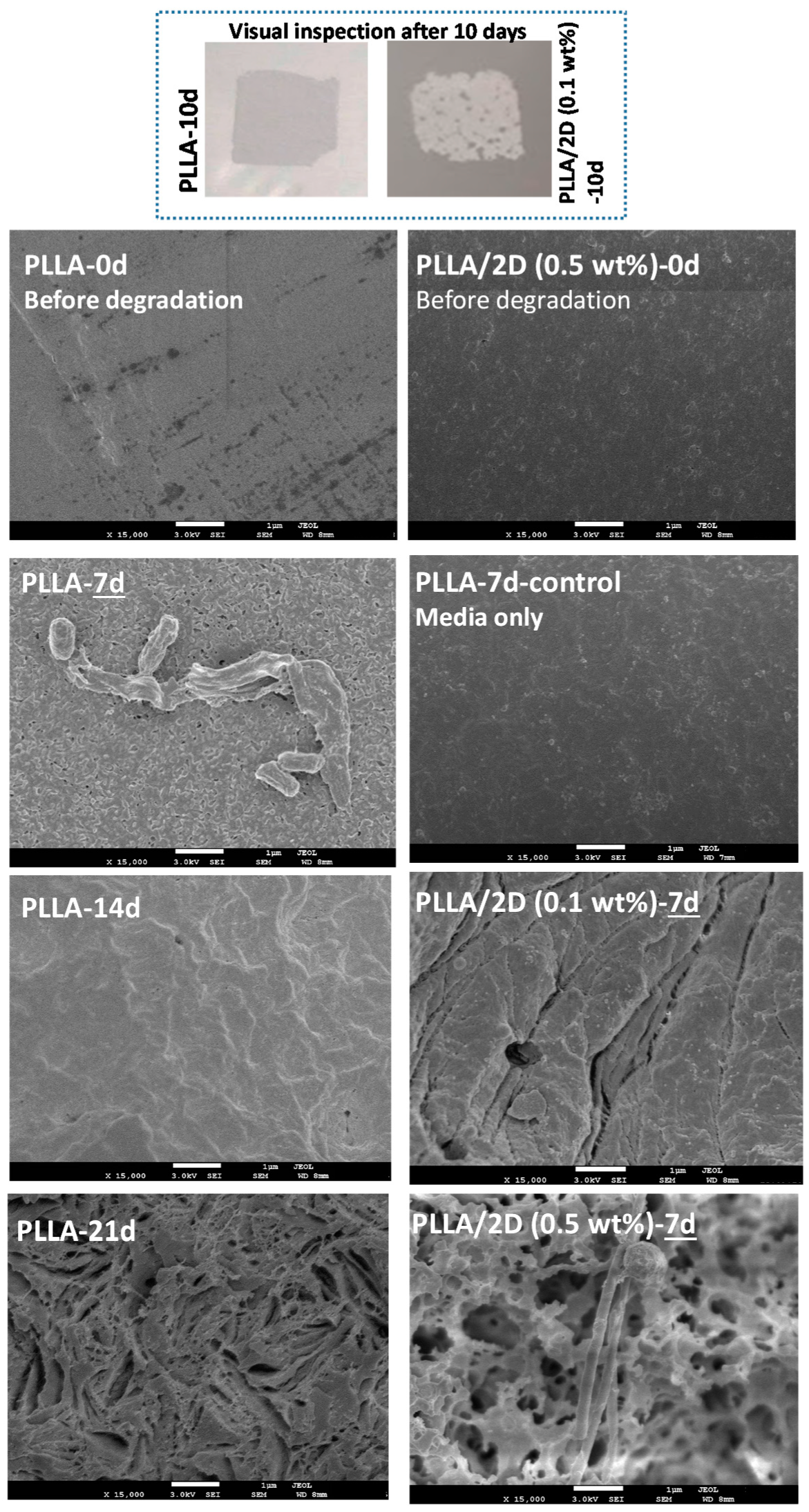 Polymers 12 02699 g009 Polymers 12 02699 g009
