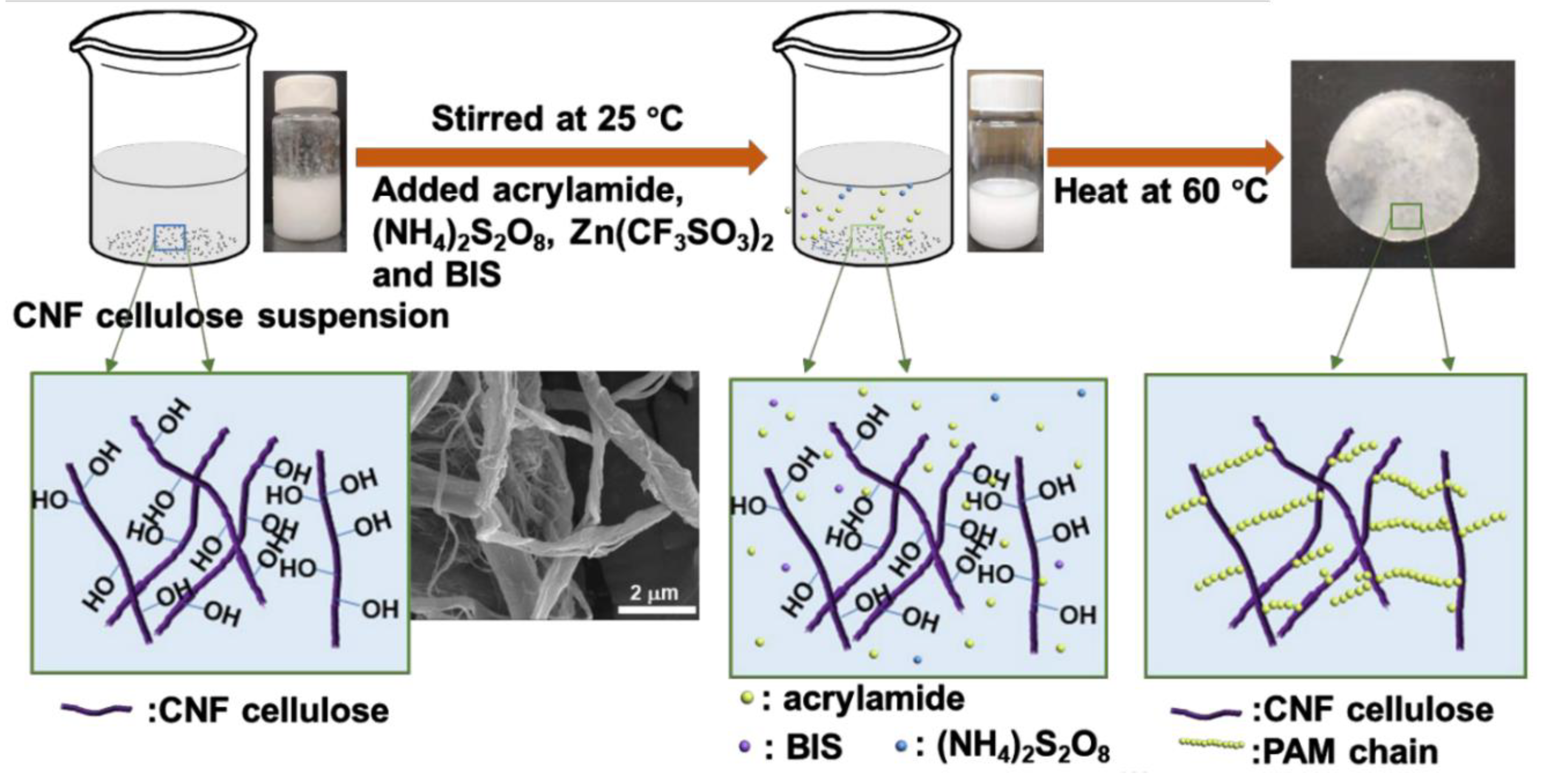 Polymers 12 02702 g004 Polymers 12 02702 g004