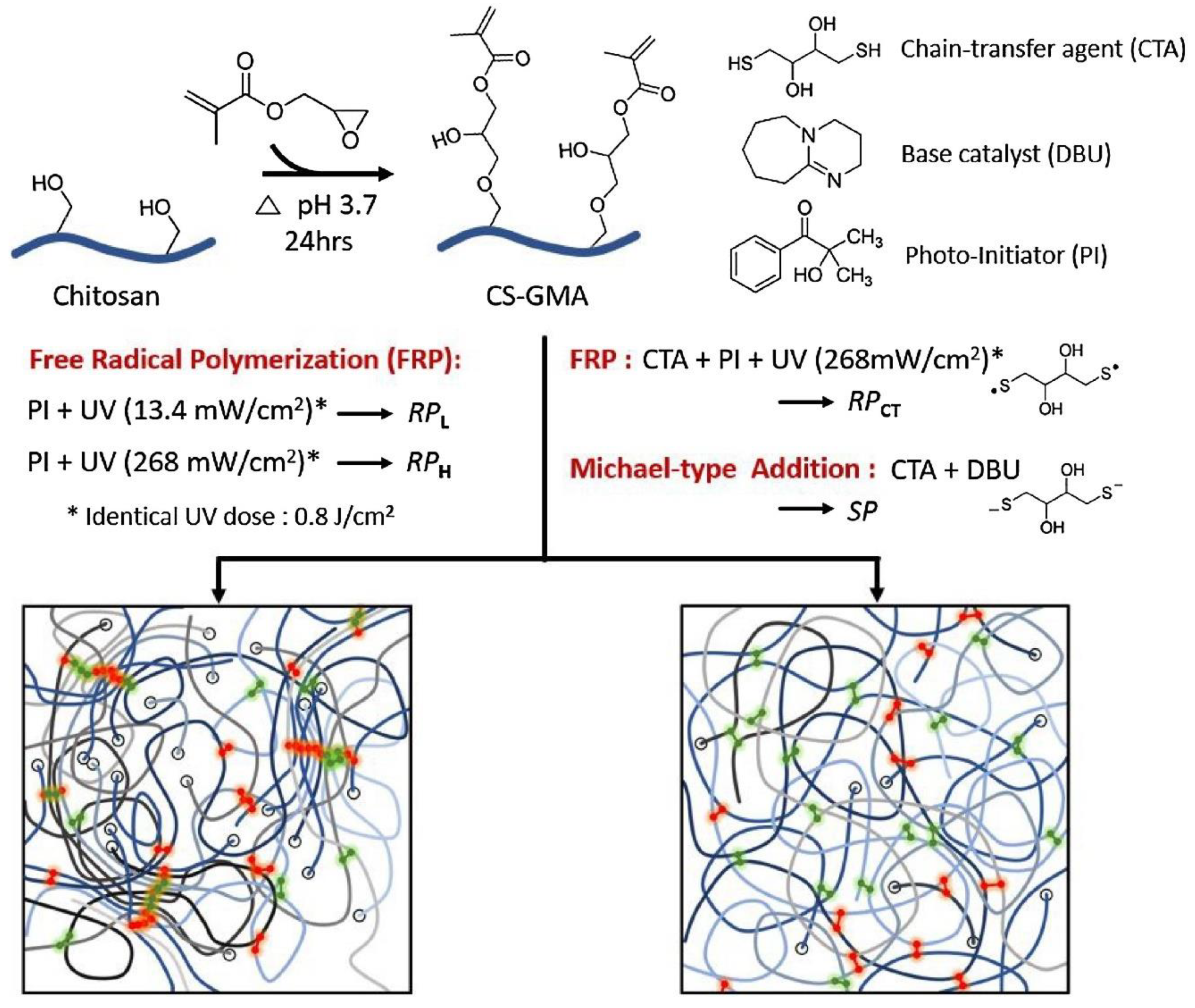 Polymers 12 02702 g007 Polymers 12 02702 g007