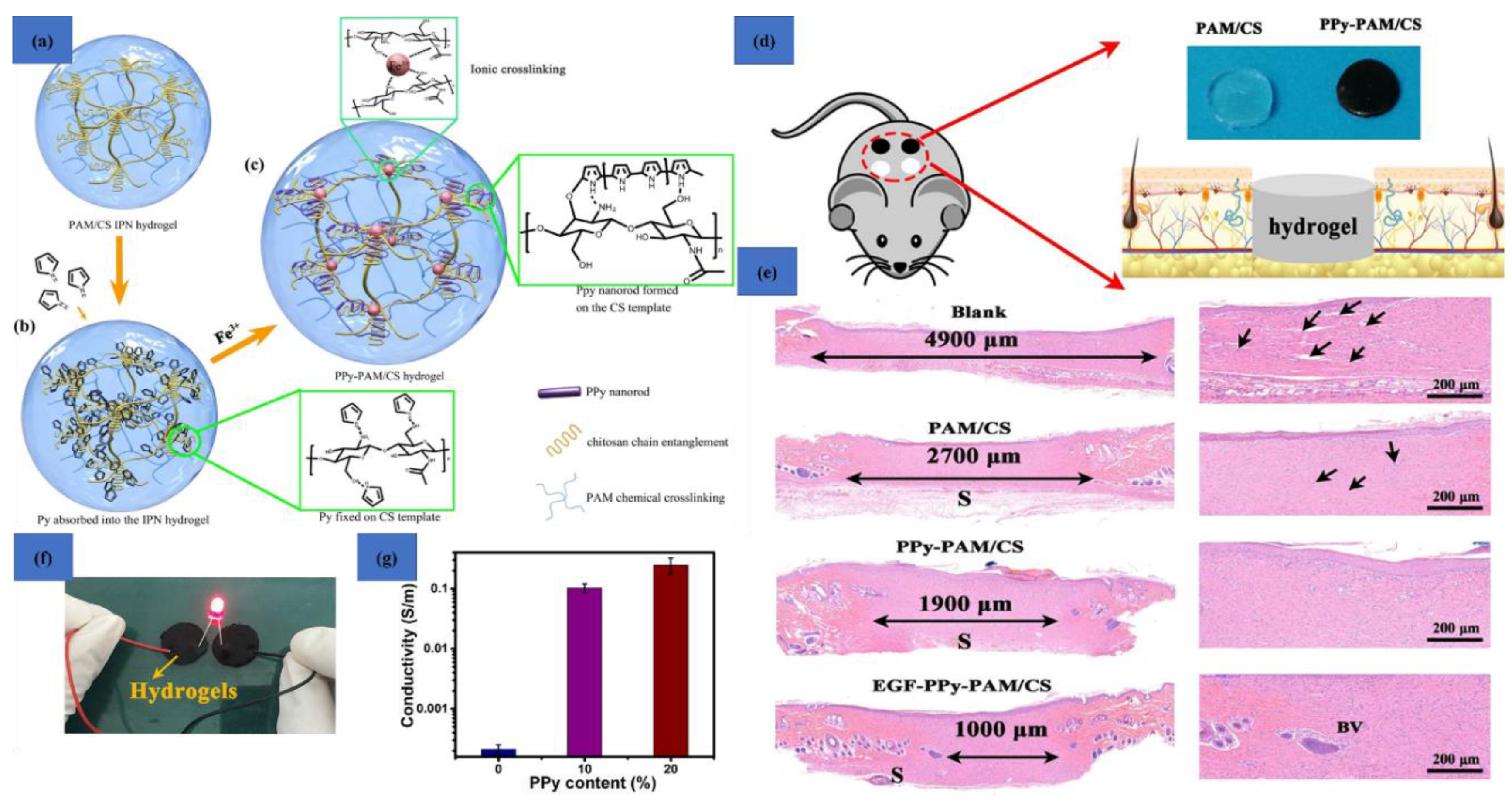 Polymers 12 02702 g014 Polymers 12 02702 g014