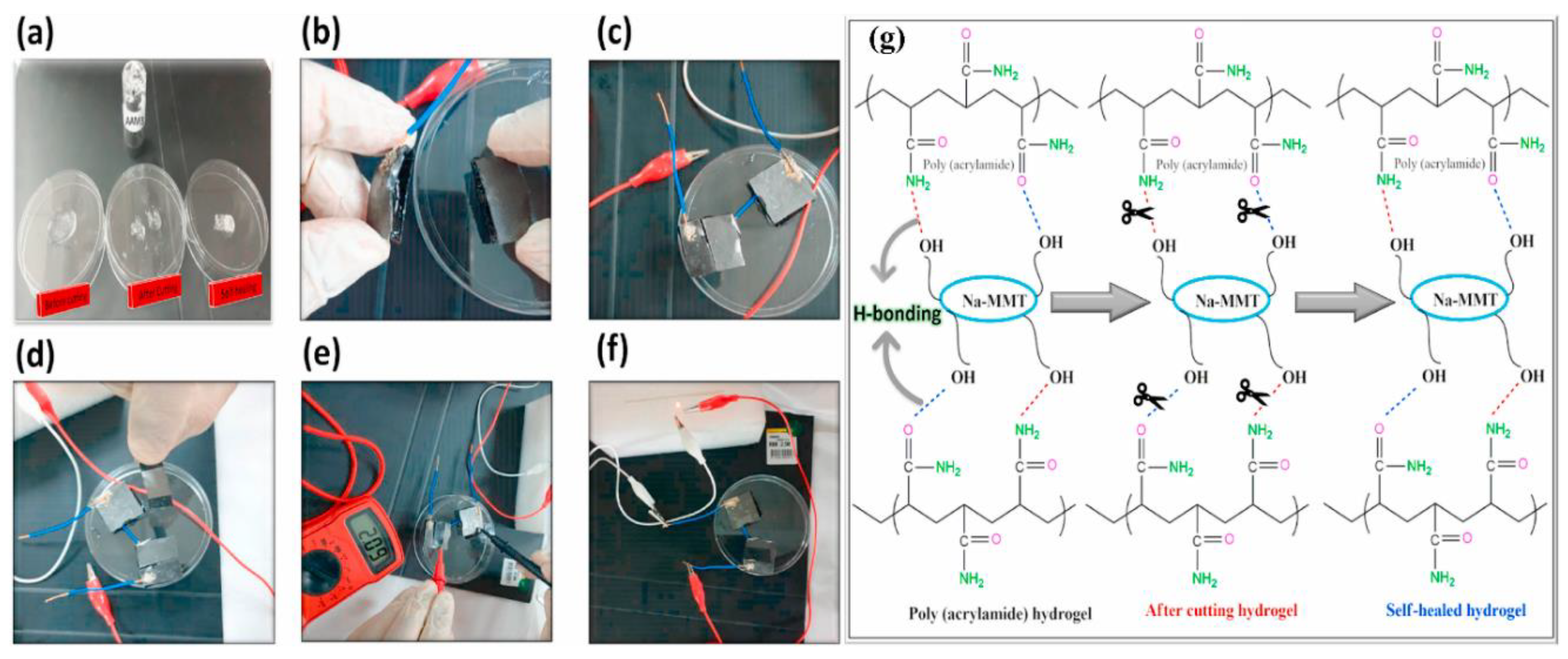 Polymers 12 02702 g025 Polymers 12 02702 g025