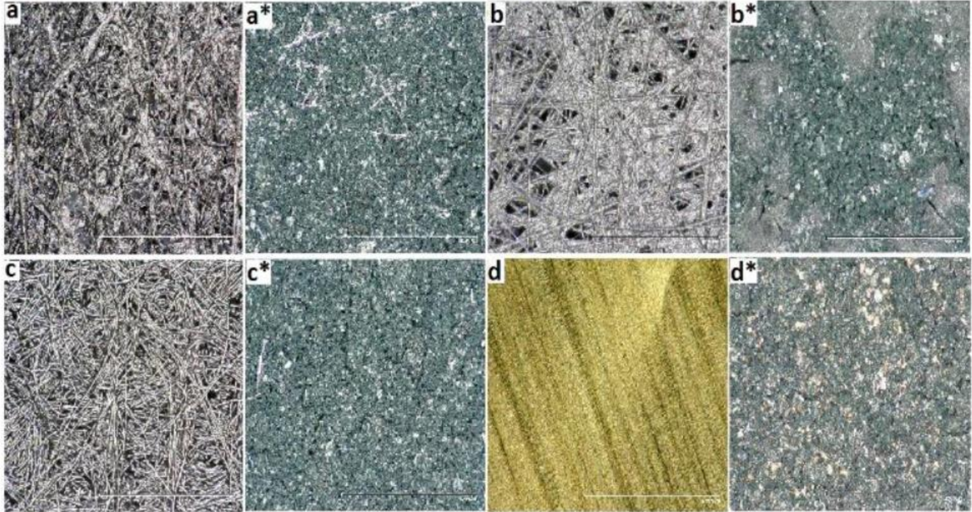 Polymers 12 02705 g002 Polymers 12 02705 g002