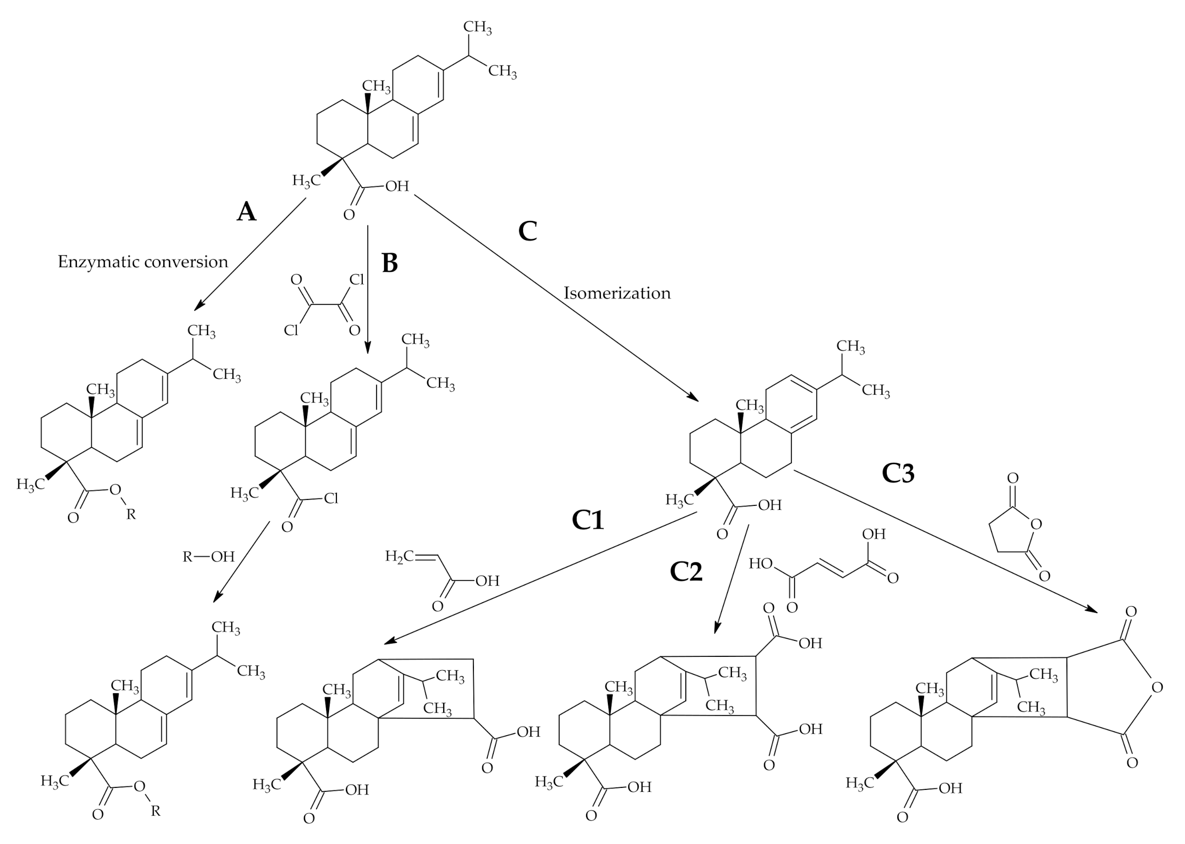 Polymers 12 02706 g003 Polymers 12 02706 g003
