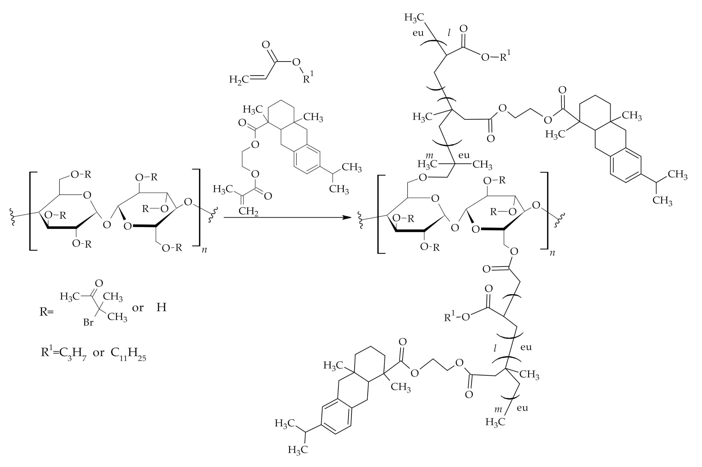 Polymers 12 02706 g005 Polymers 12 02706 g005