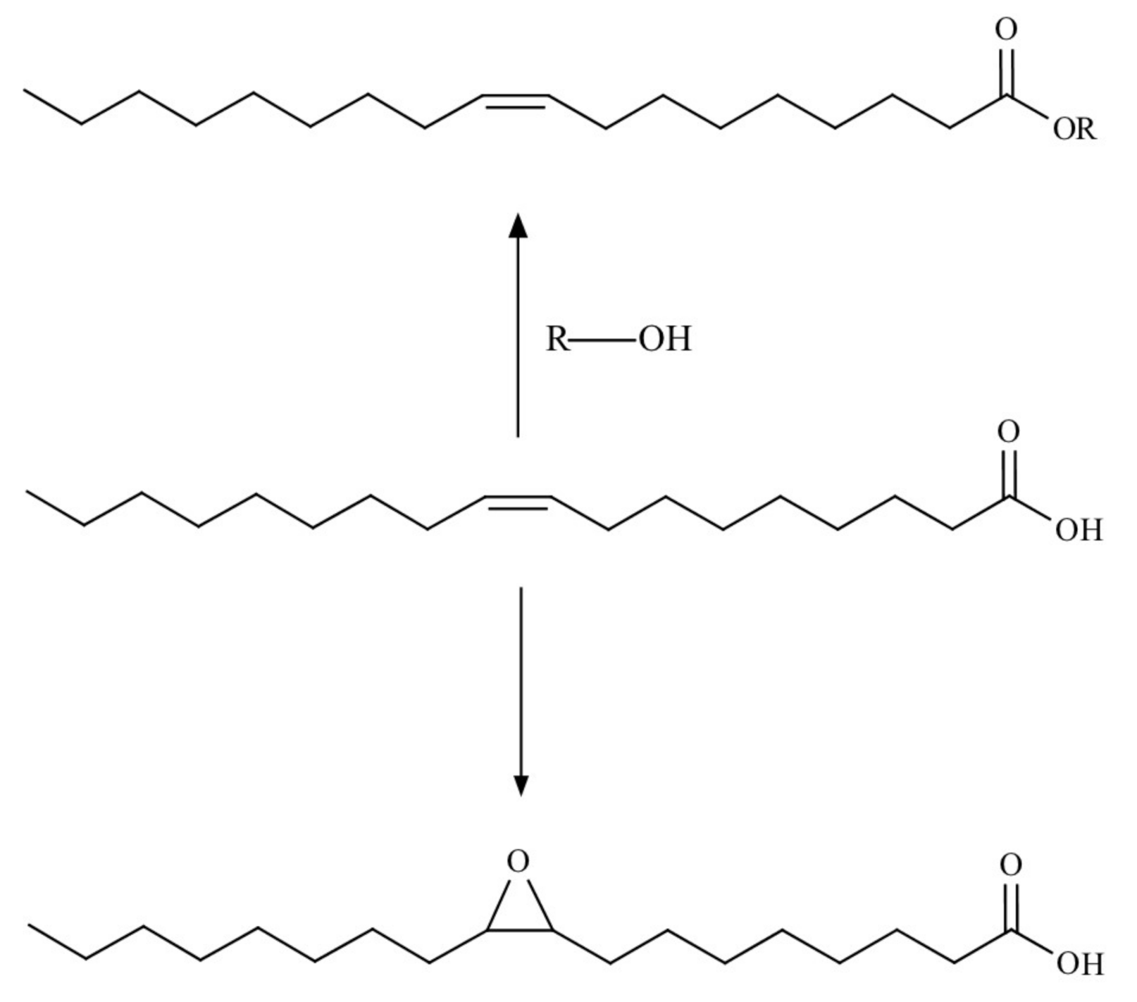 Polymers 12 02706 g009 Polymers 12 02706 g009