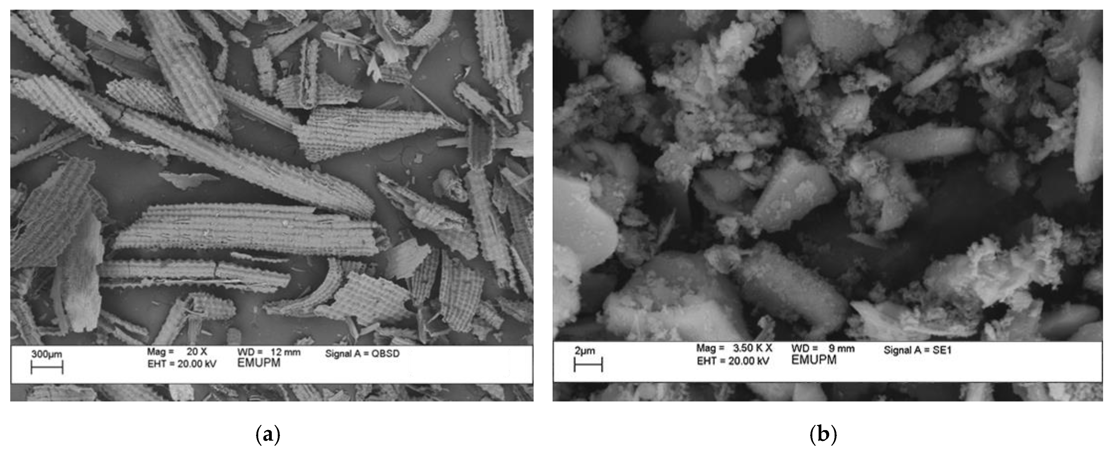 Polymers 12 02709 g004