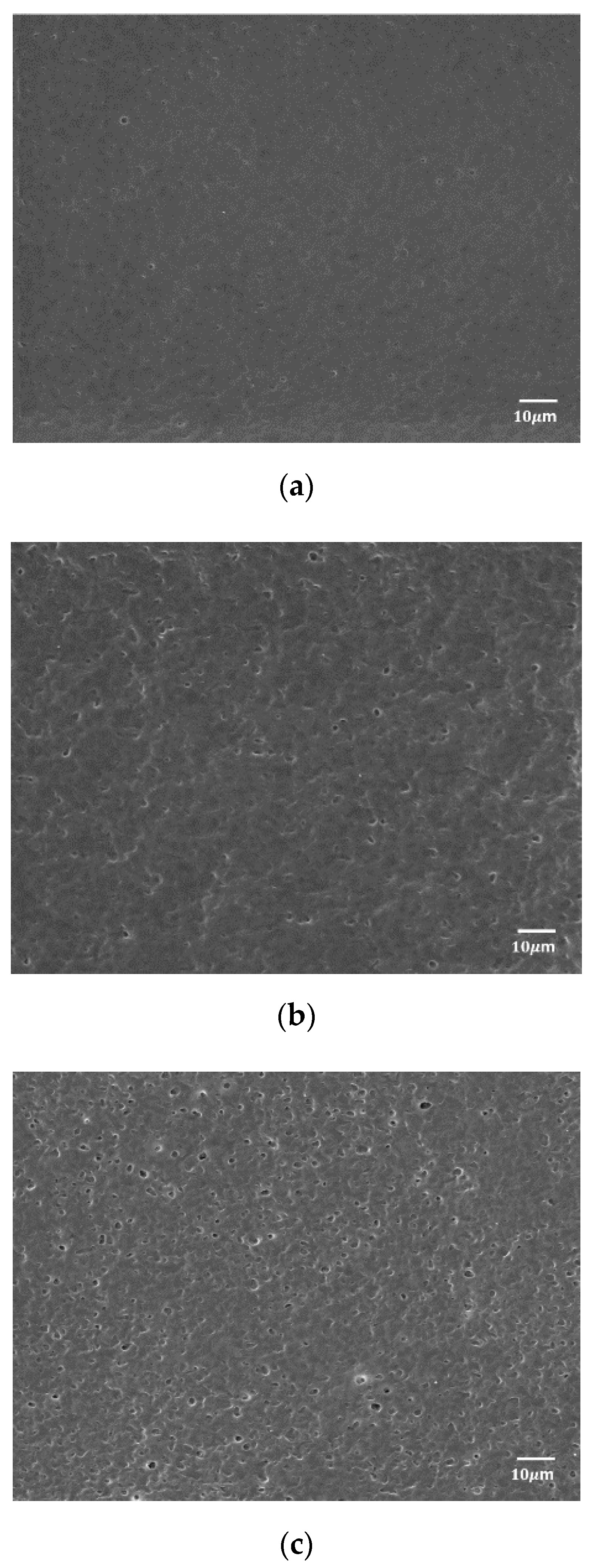 Polymers 12 02712 g002 Polymers 12 02712 g002