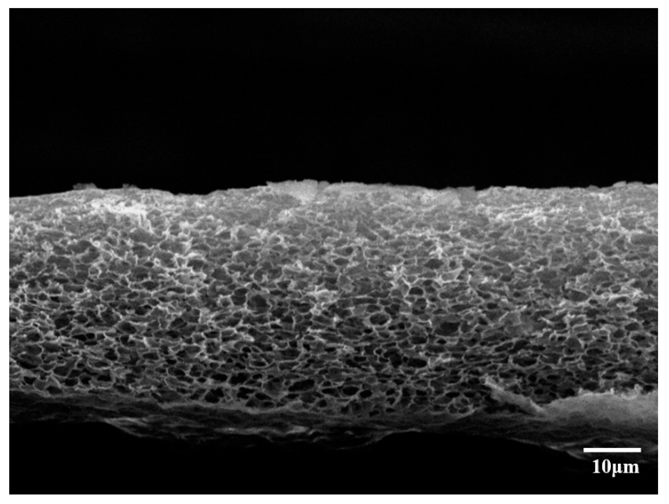 Polymers 12 02712 g003 Polymers 12 02712 g003