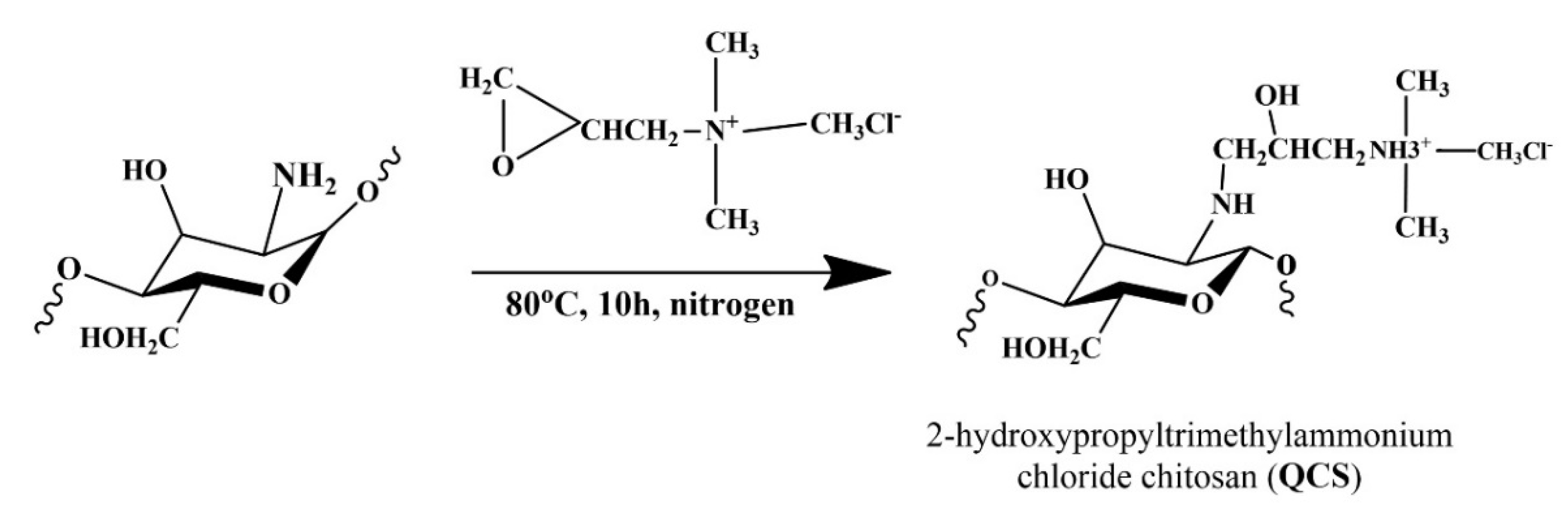 Polymers 12 02714 g002