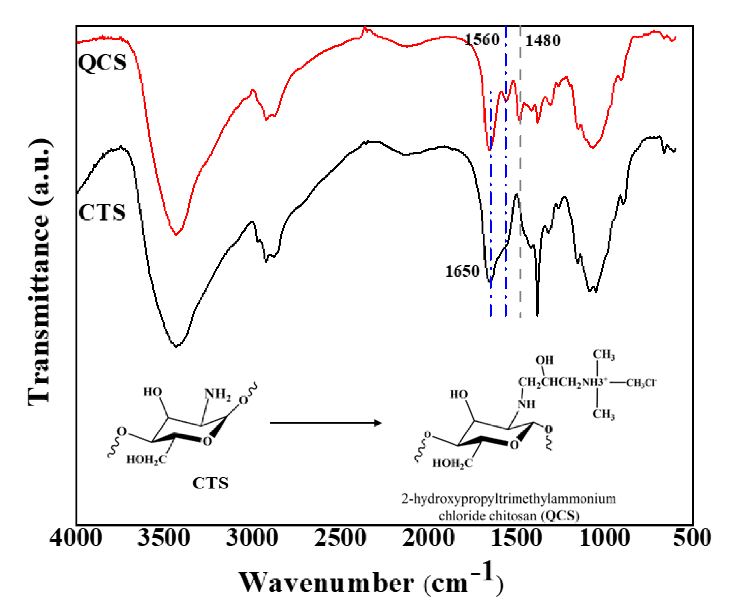 Polymers 12 02714 g005