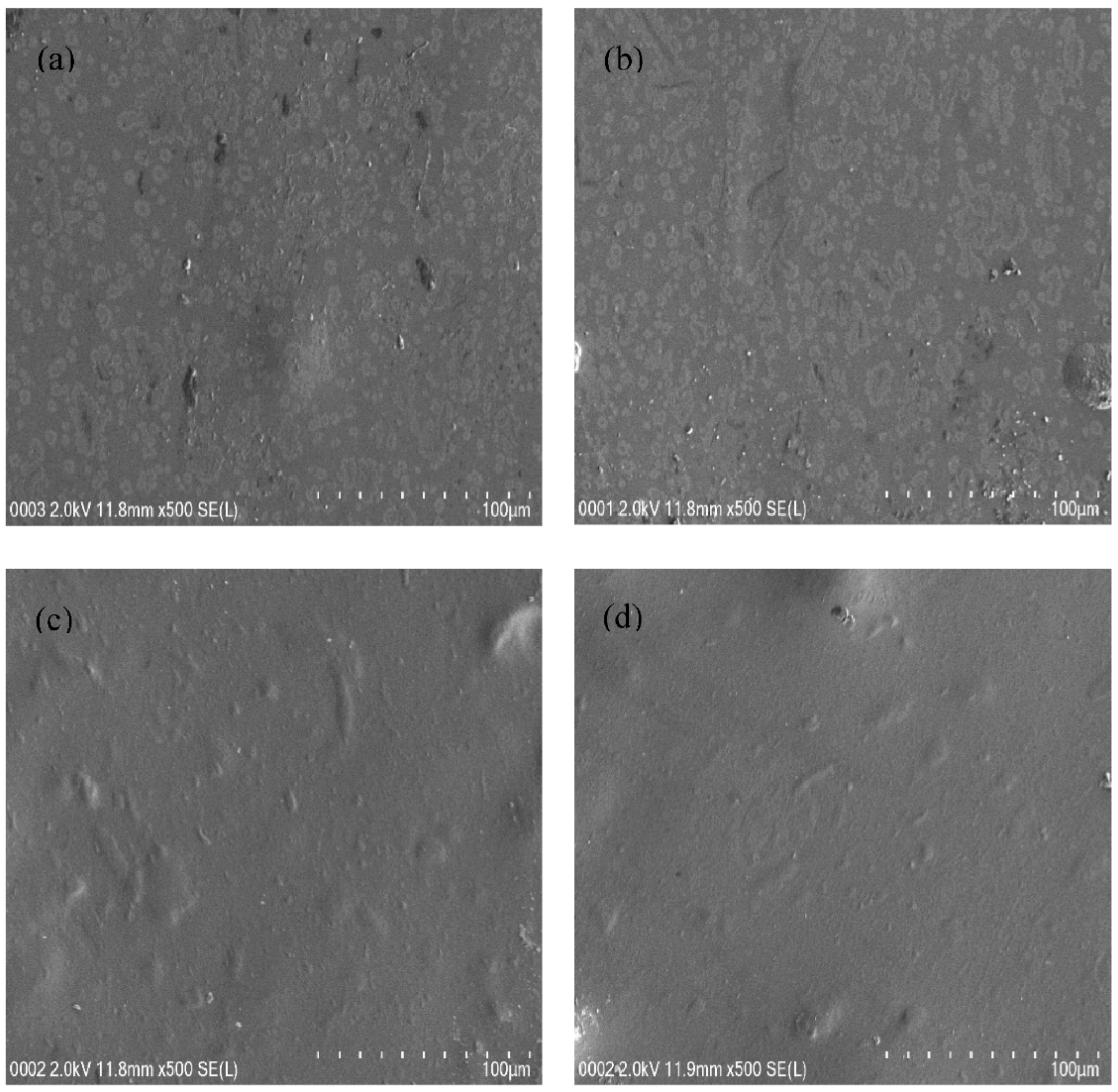 Polymers 12 02718 g002 Polymers 12 02718 g002