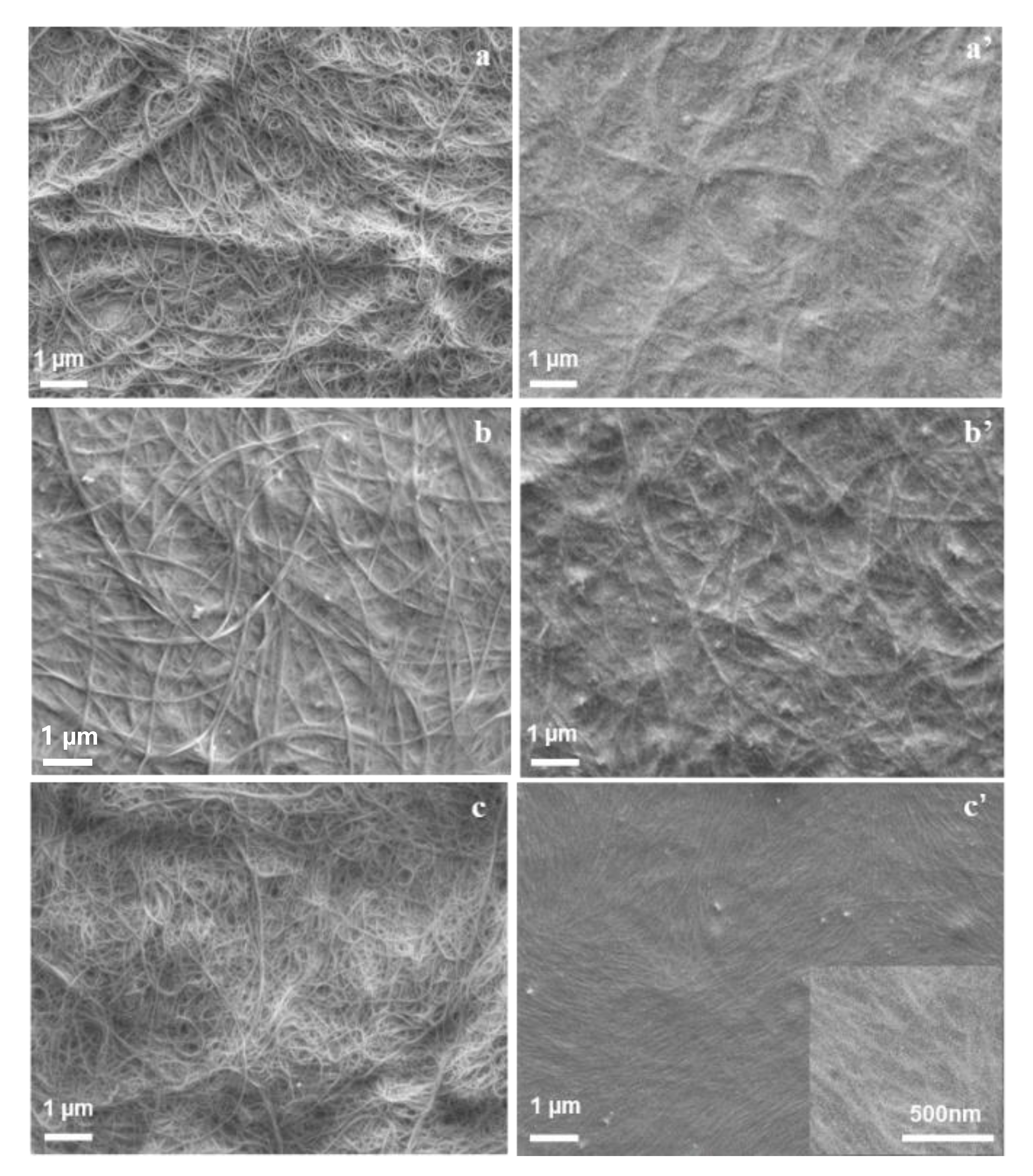 Polymers 12 02720 g003