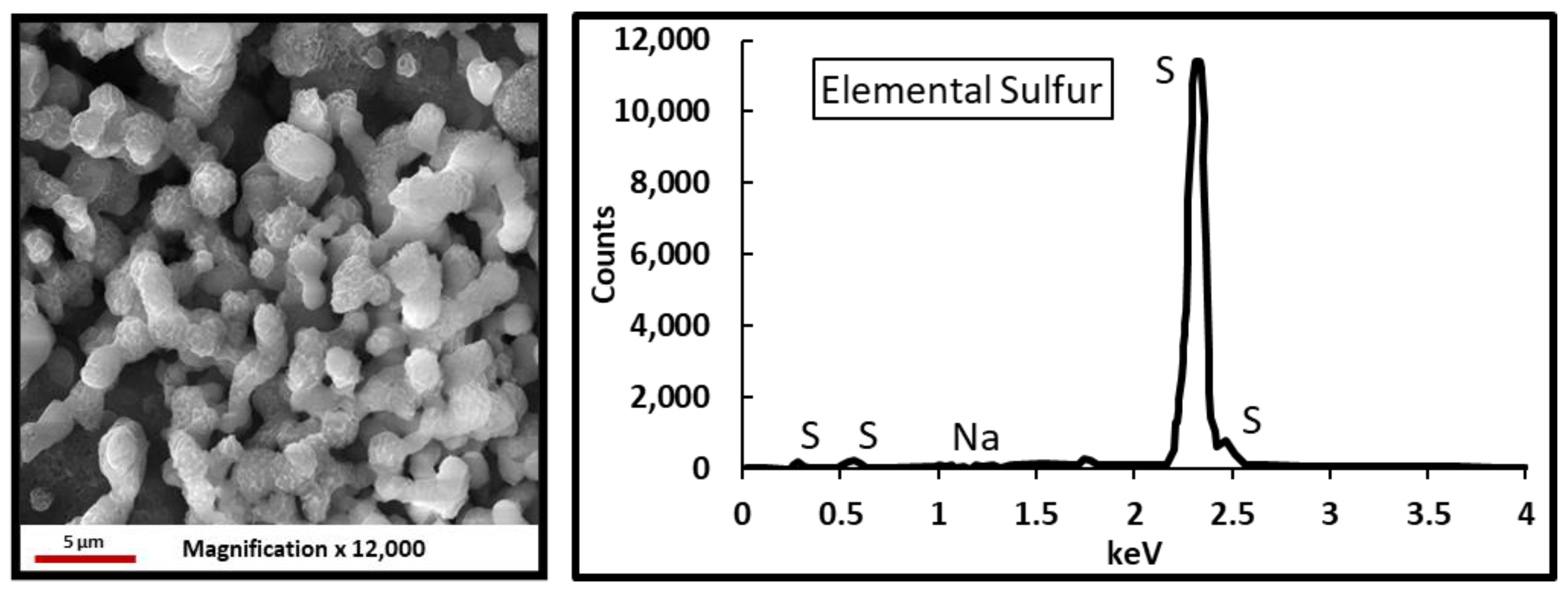 Polymers 12 02722 g021