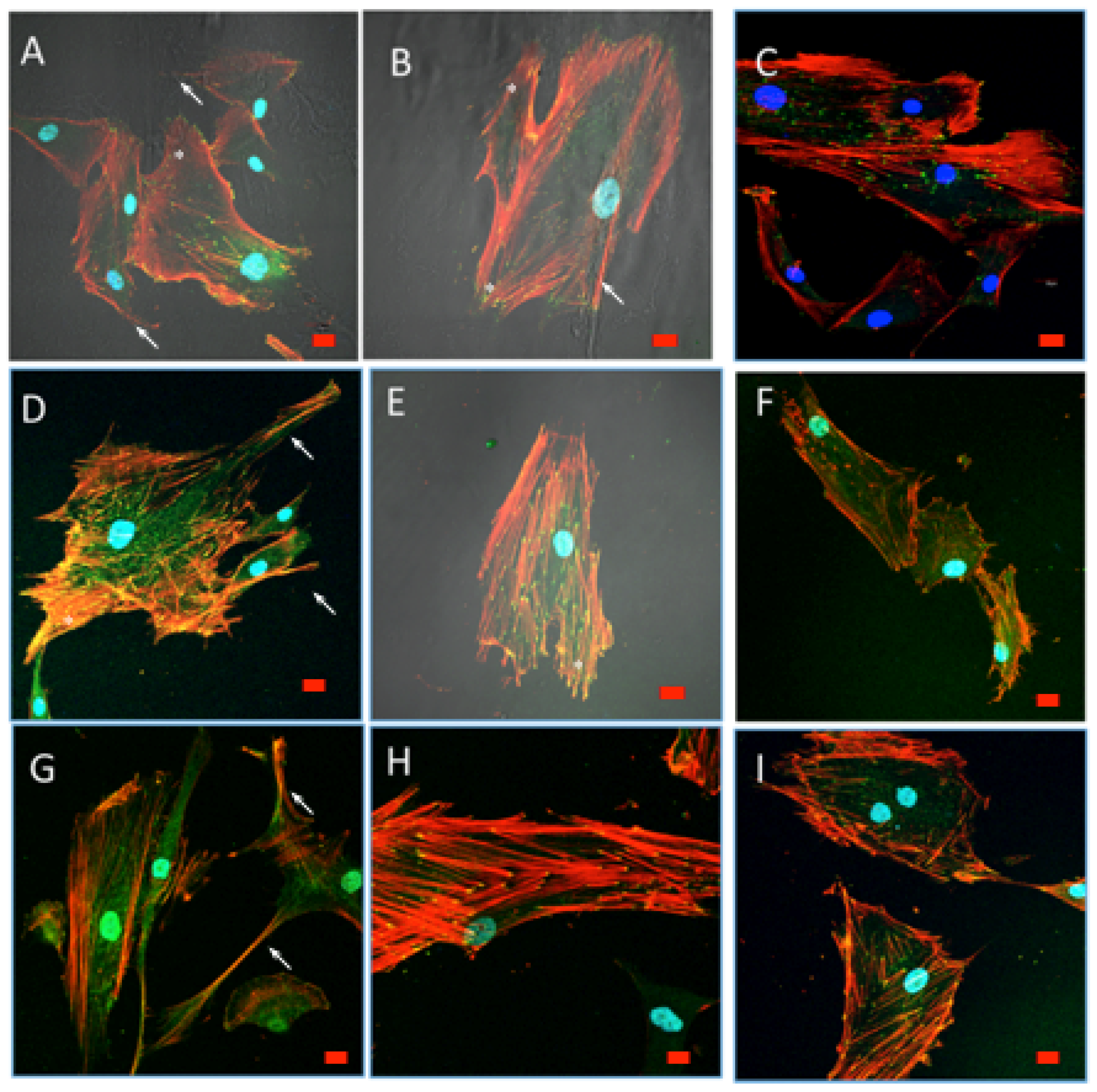 Polymers 12 02723 g010 Polymers 12 02723 g010
