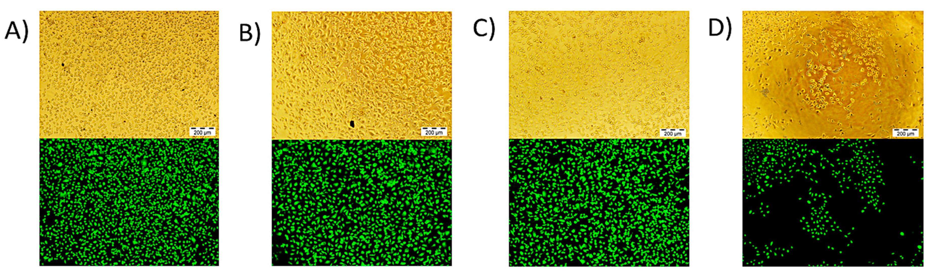 Polymers 12 02724 g008 Polymers 12 02724 g008
