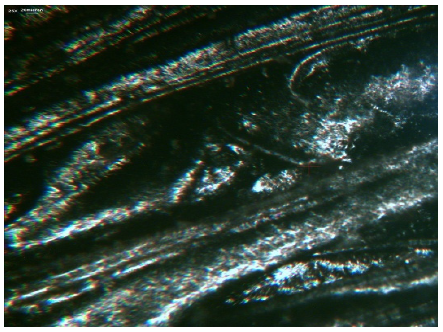 Polymers 12 02725 g012 Polymers 12 02725 g012