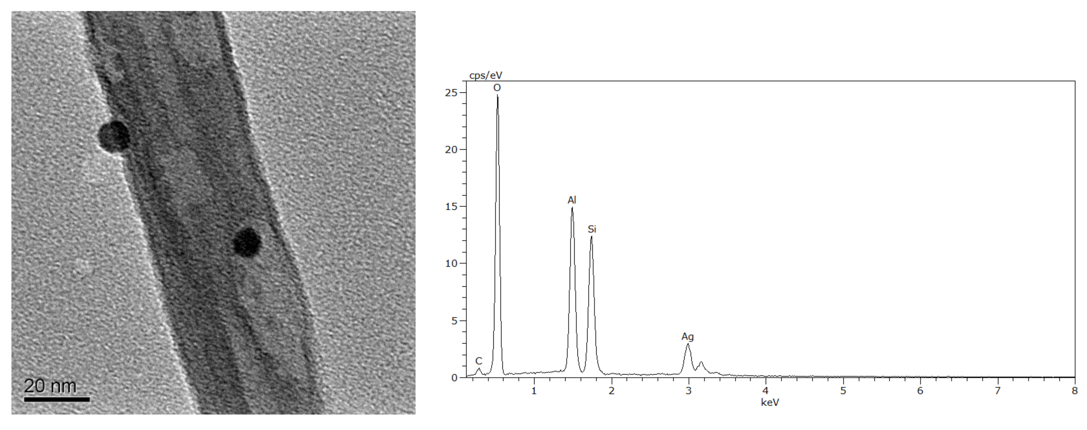 Polymers 12 02729 g001 Polymers 12 02729 g001