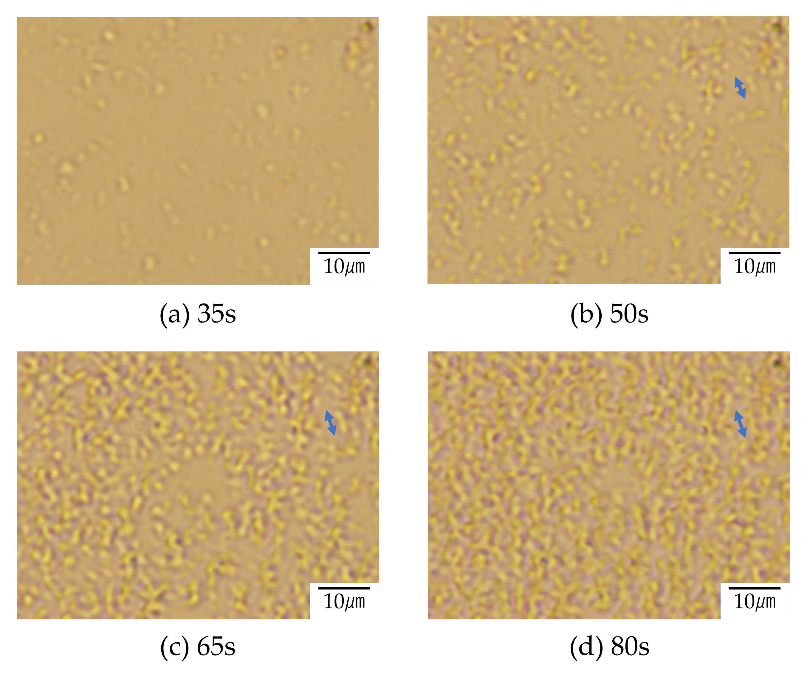 Polymers 12 02730 g008 Polymers 12 02730 g008