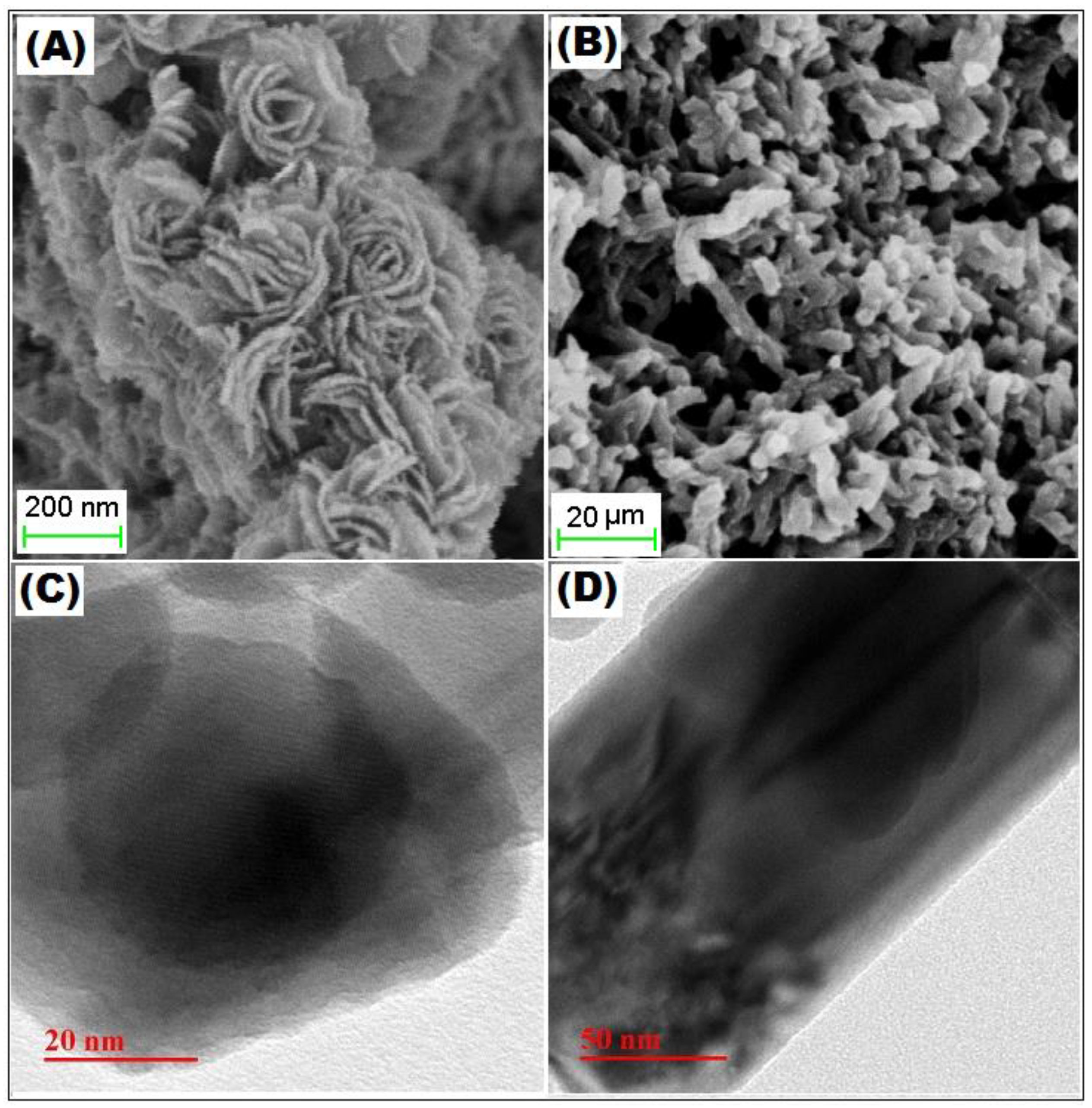 Polymers 12 02731 g001