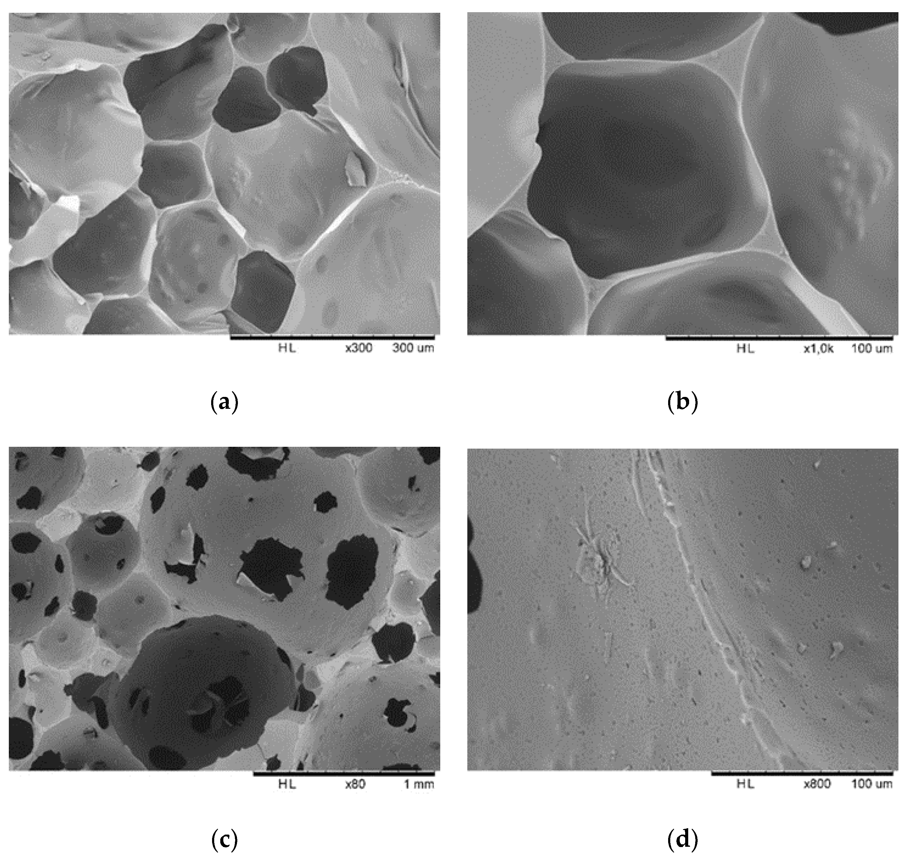 Polymers 12 02732 g007