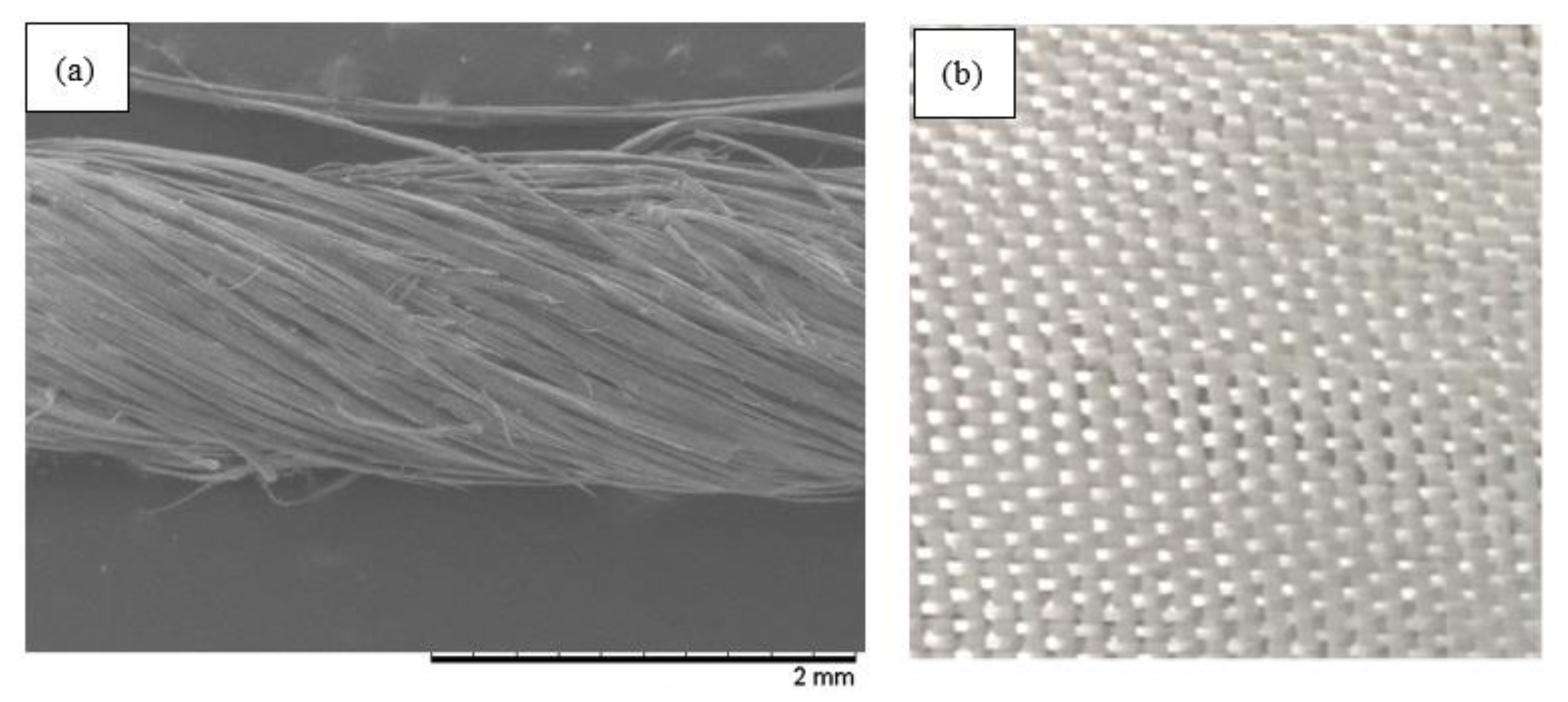 Polymers 12 02733 g001