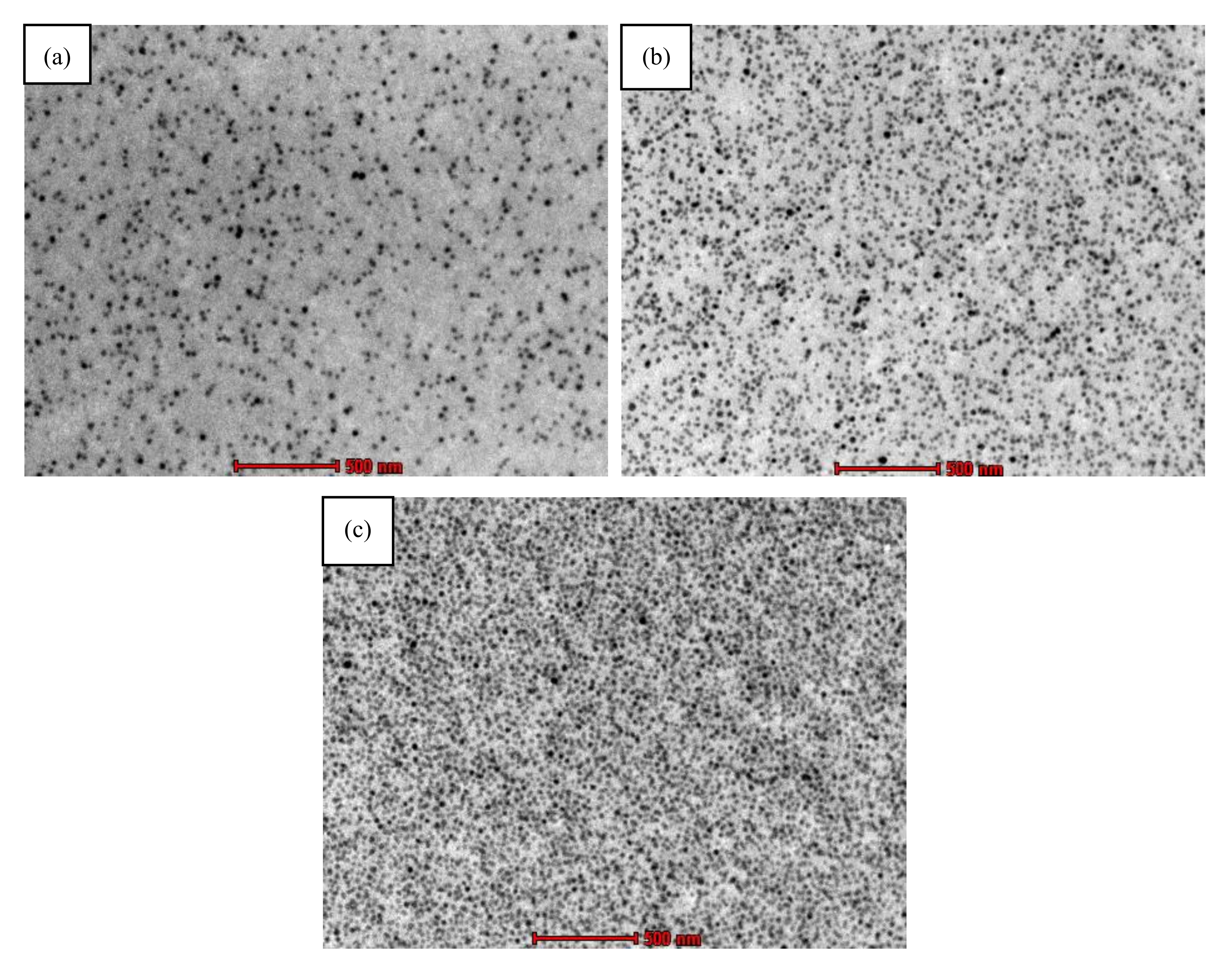 Polymers 12 02733 g002