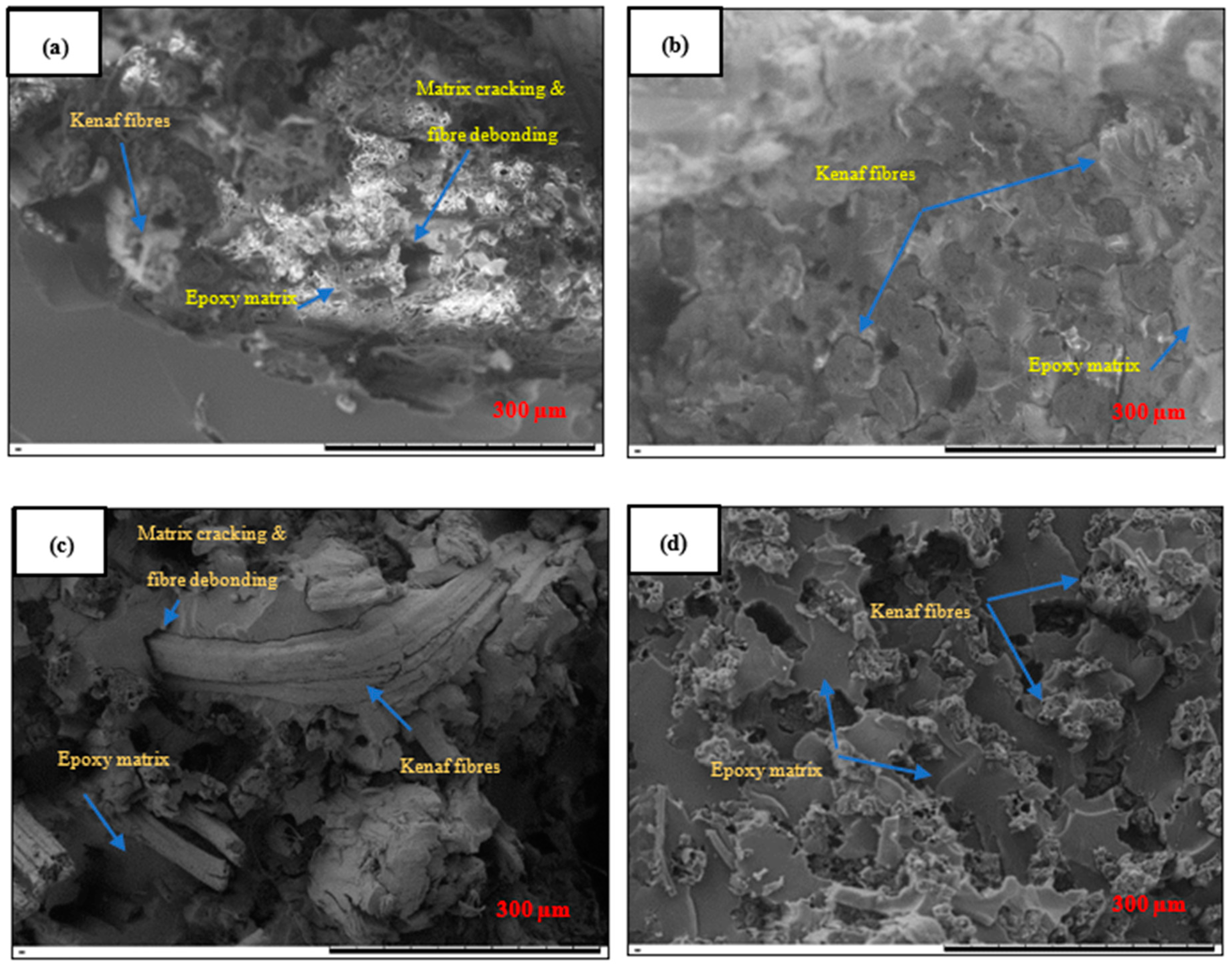 Polymers 12 02733 g005
