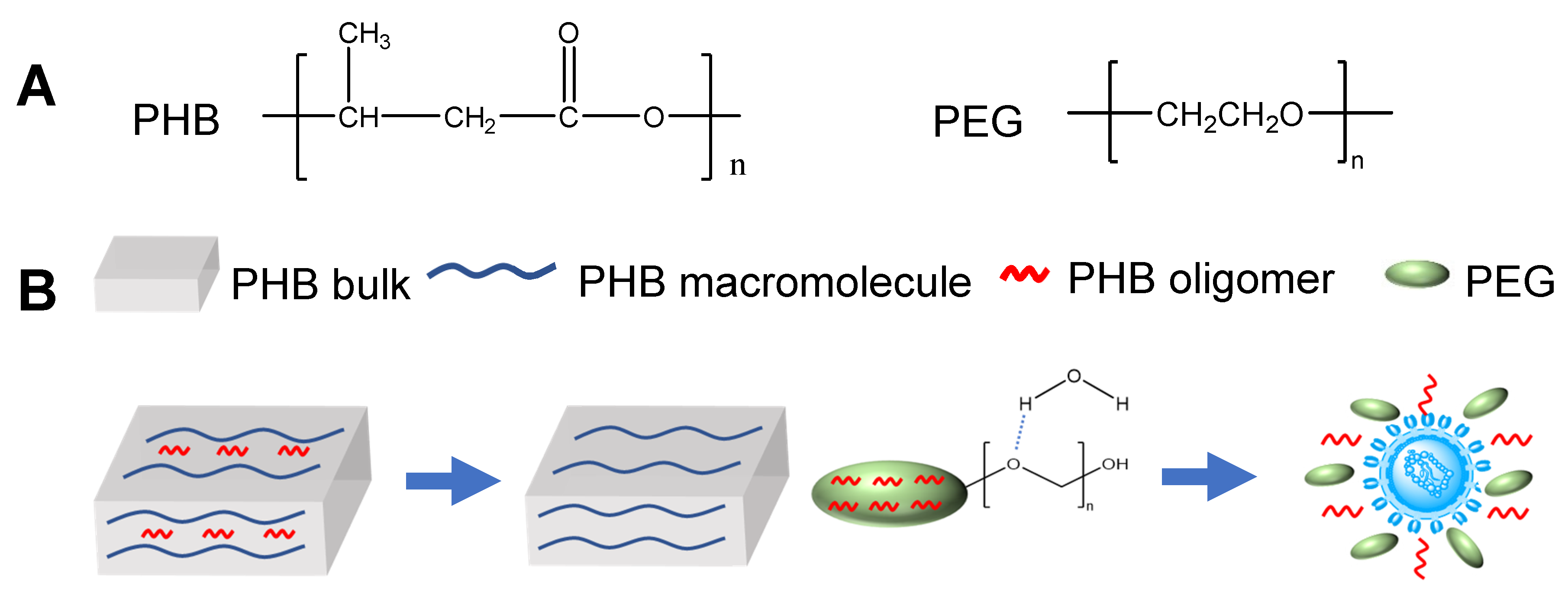 Polymers 12 02735 g007 Polymers 12 02735 g007