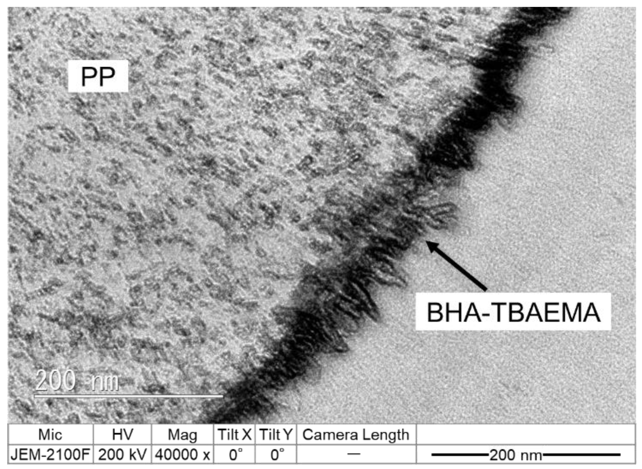 Polymers 12 02736 g007 Polymers 12 02736 g007