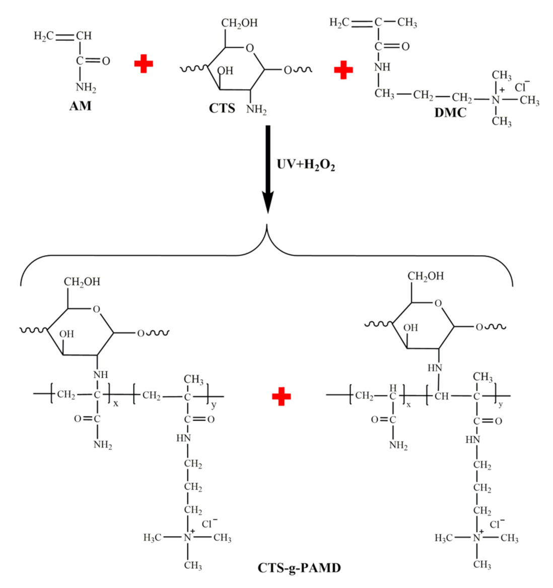 Polymers 12 02738 g001