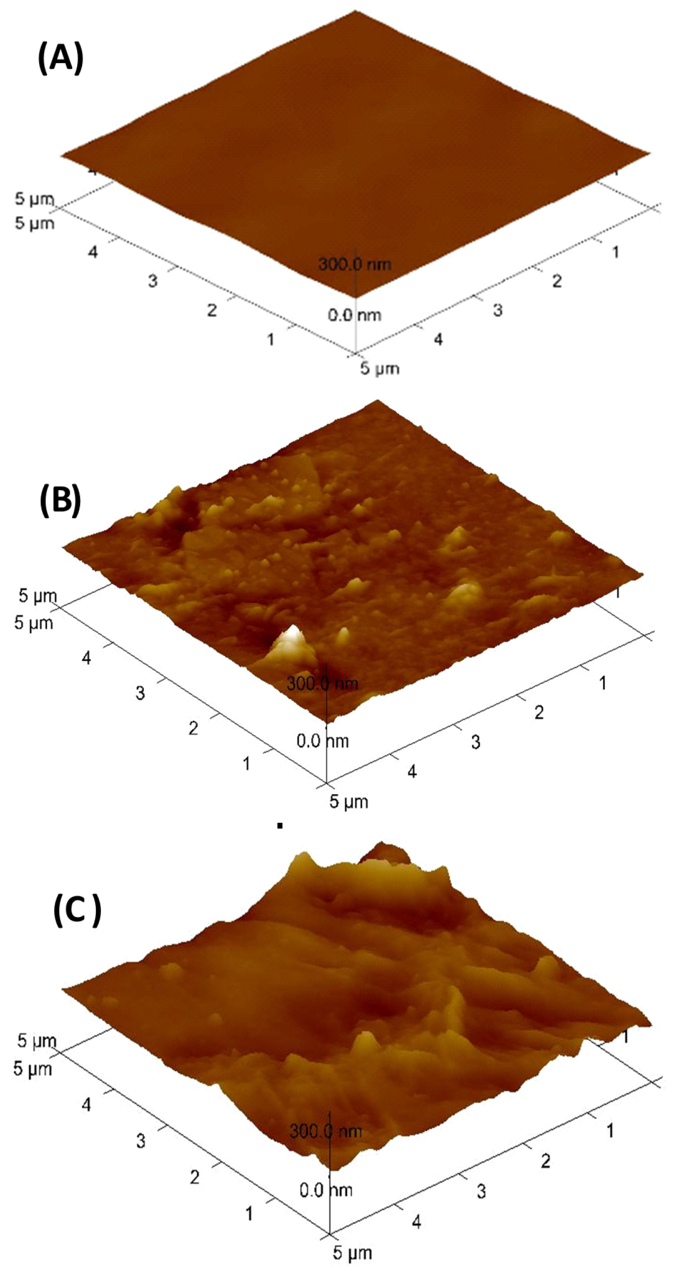 Polymers 12 02740 g004