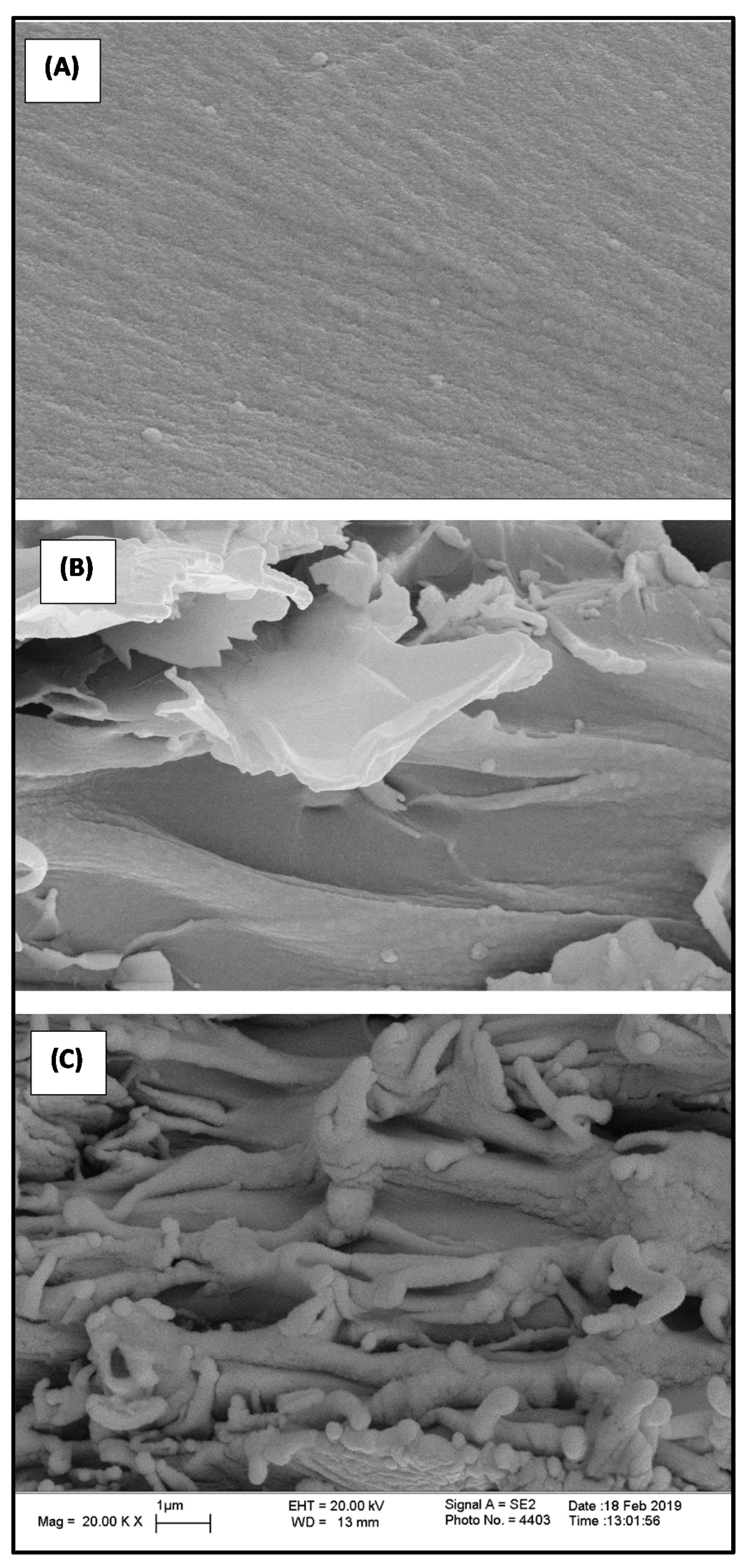 Polymers 12 02740 g005