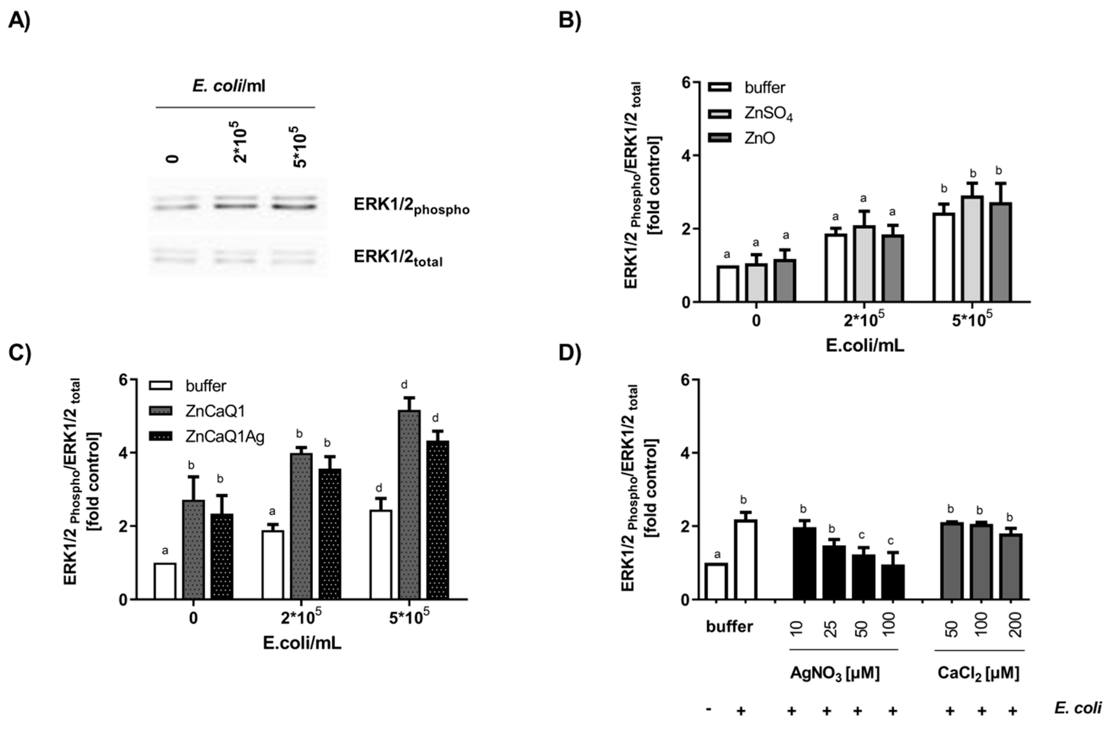 Polymers 12 02741 g004