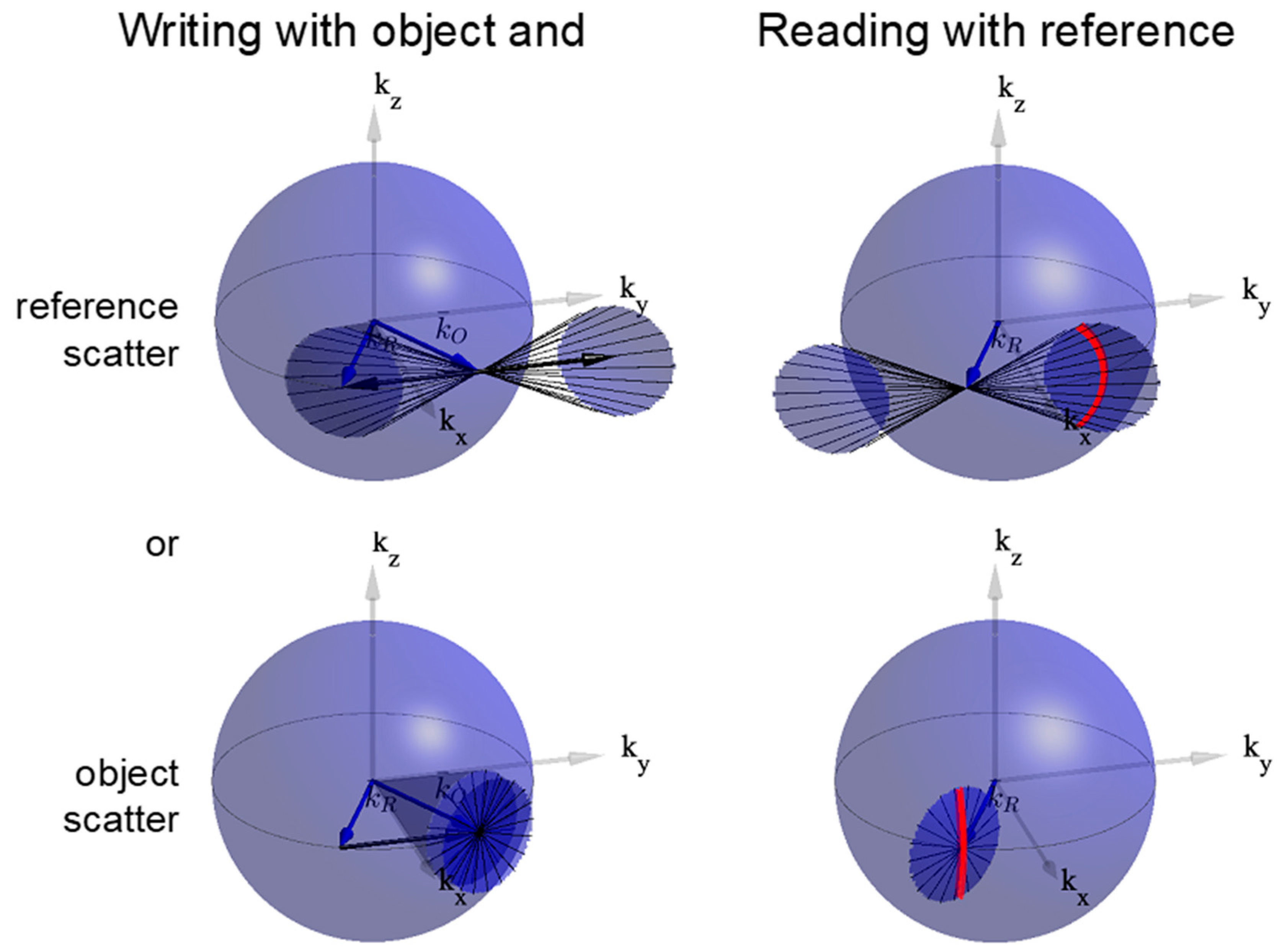 Polymers 12 02744 g001