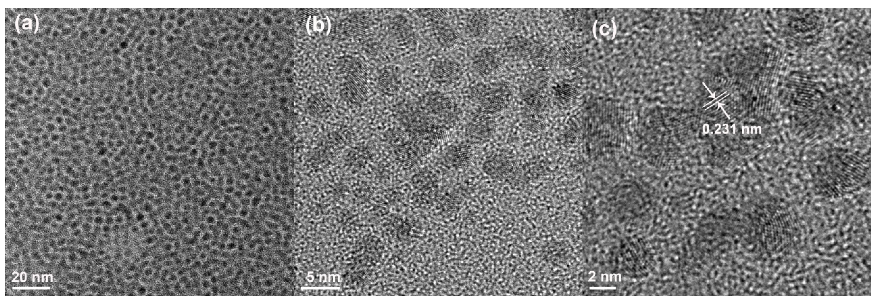 Polymers 12 02747 g001 Polymers 12 02747 g001