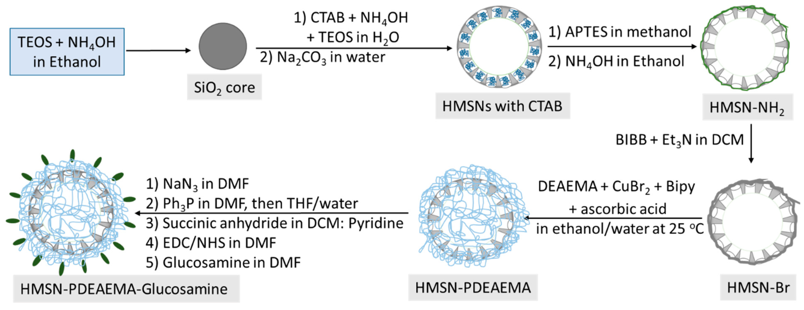 Polymers 12 02749 sch001 Polymers 12 02749 sch001