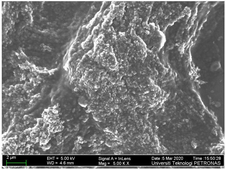 Polymers 12 02750 g003