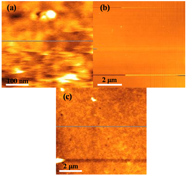 Polymers 12 02750 g004