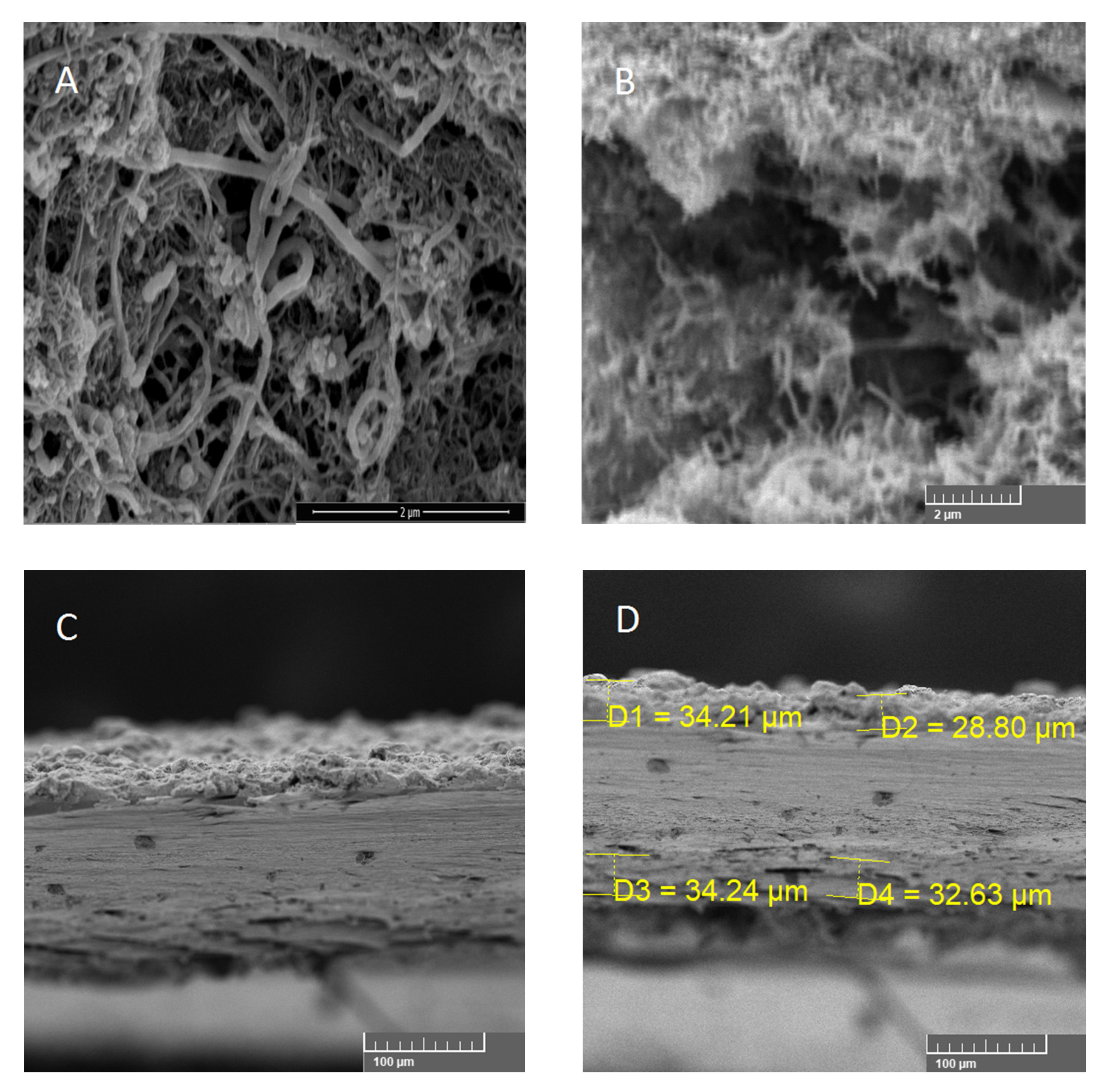 Polymers 12 02759 g002 Polymers 12 02759 g002