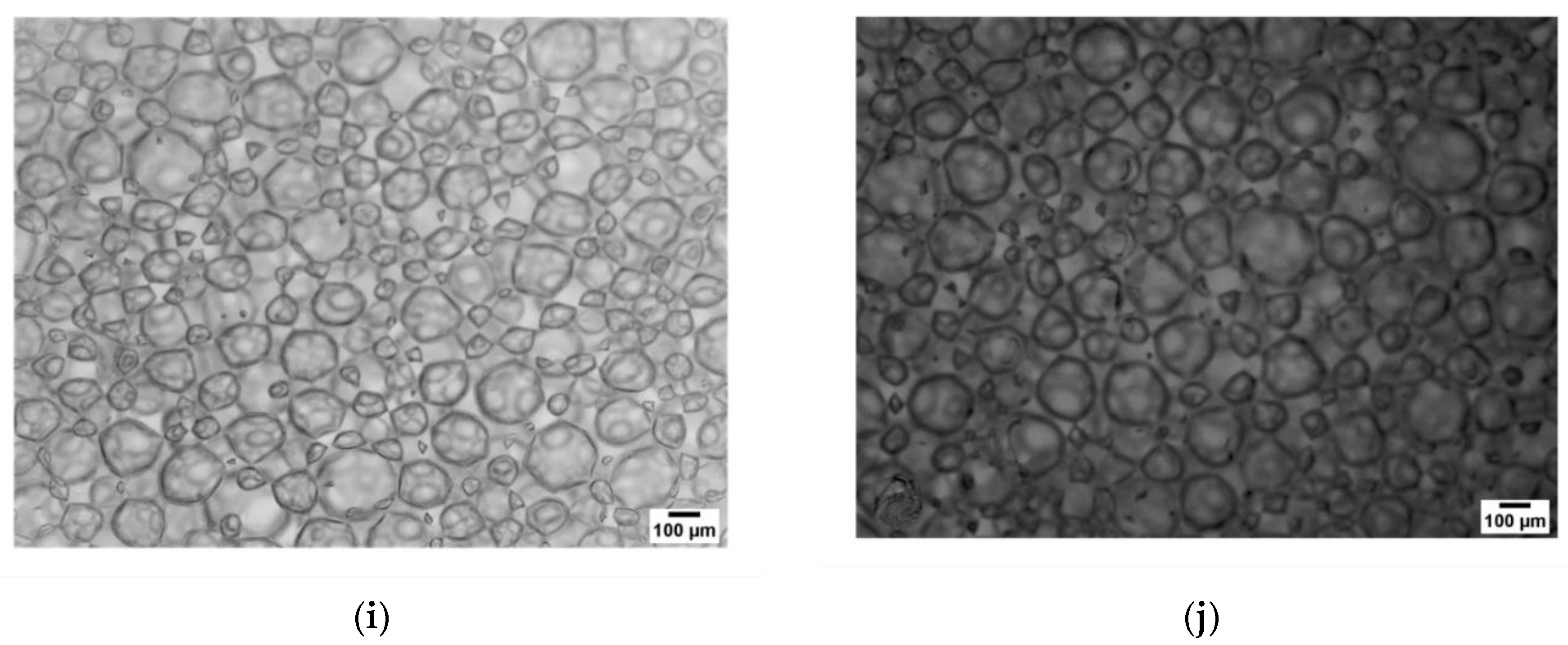 Polymers 12 02769 g001b Polymers 12 02769 g001b