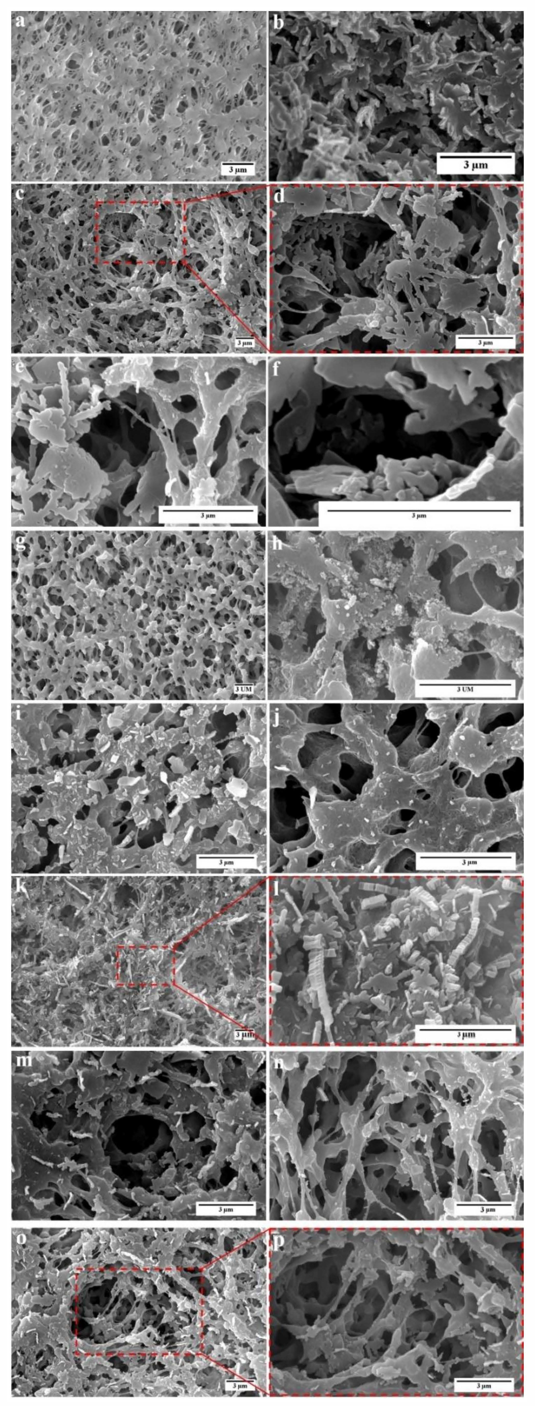 Polymers 12 02774 g005