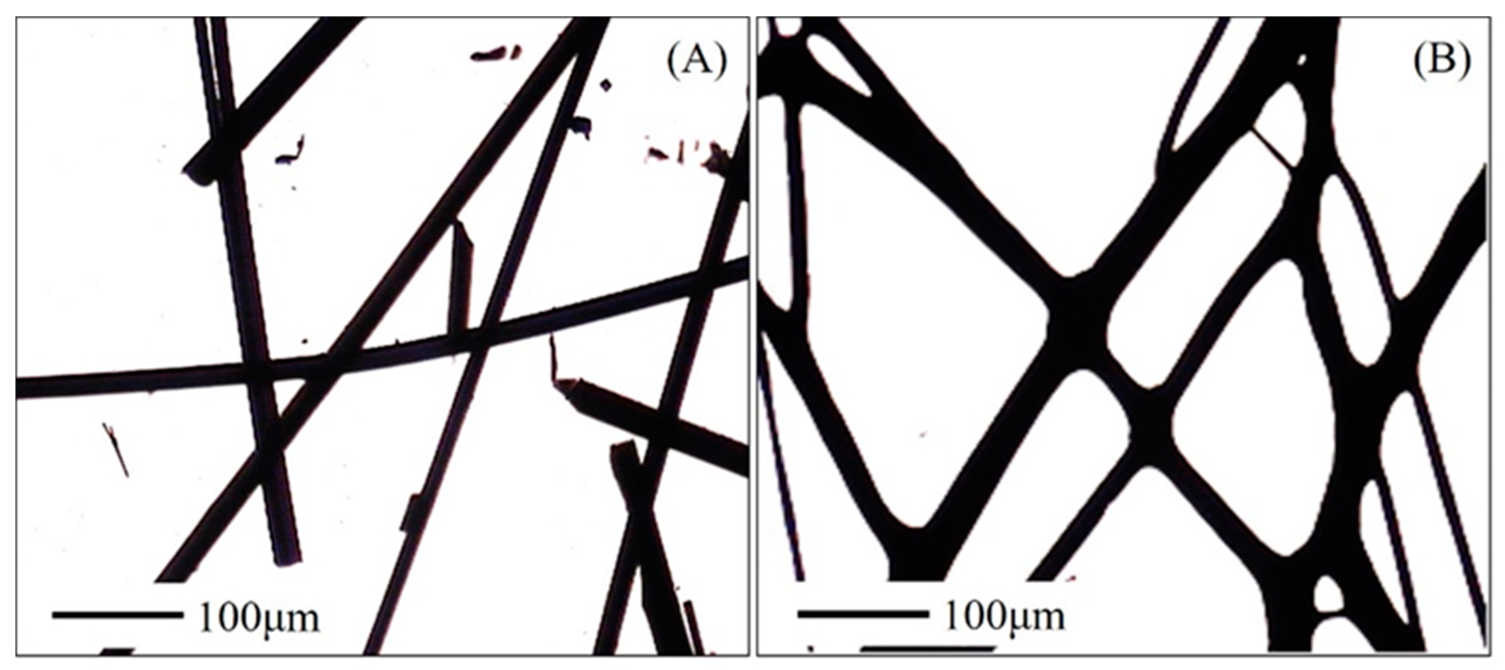 Polymers 12 02775 g001