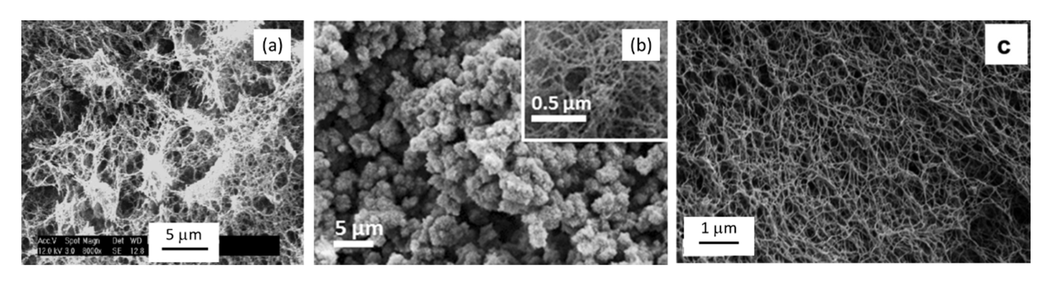 Polymers 12 02779 g008